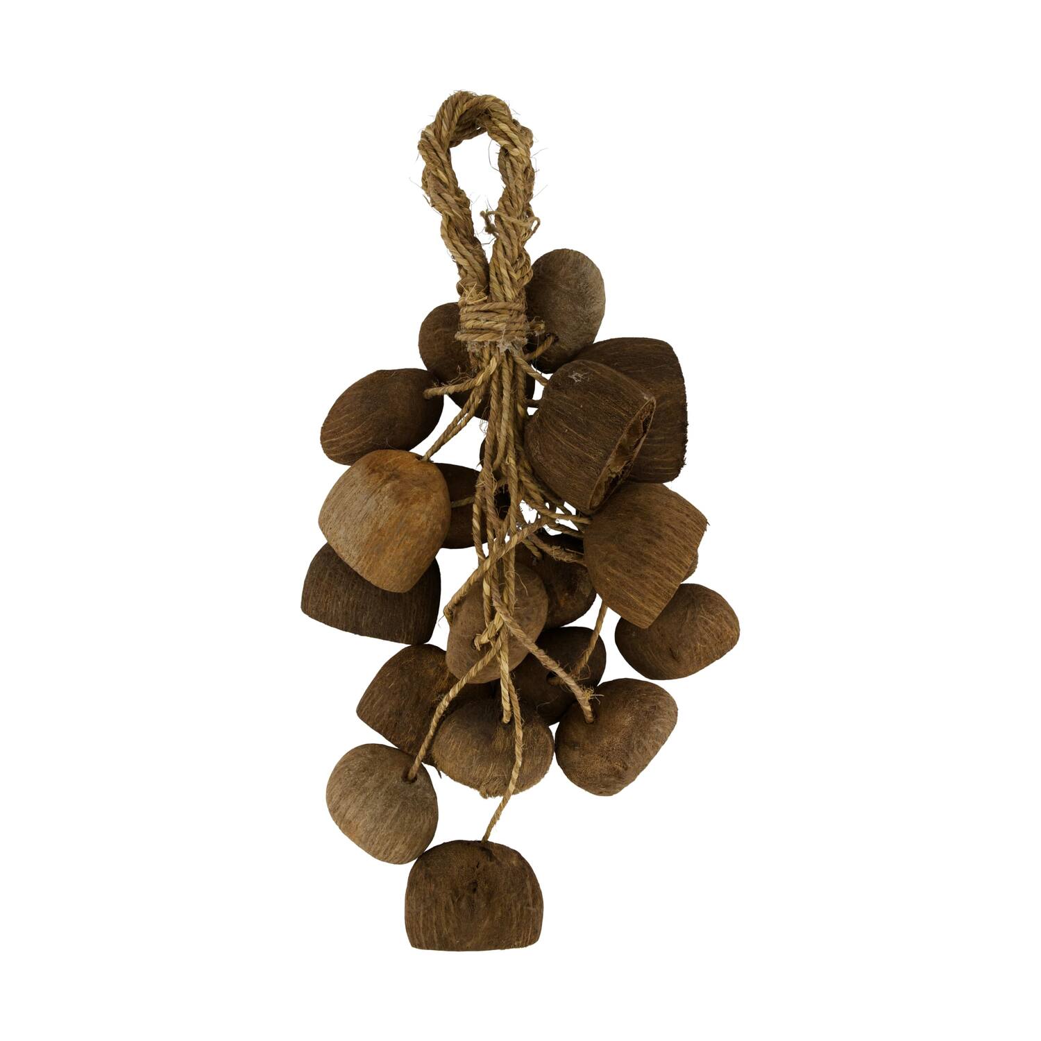 Hanger palm pod nature 55x22x13cm 20pc