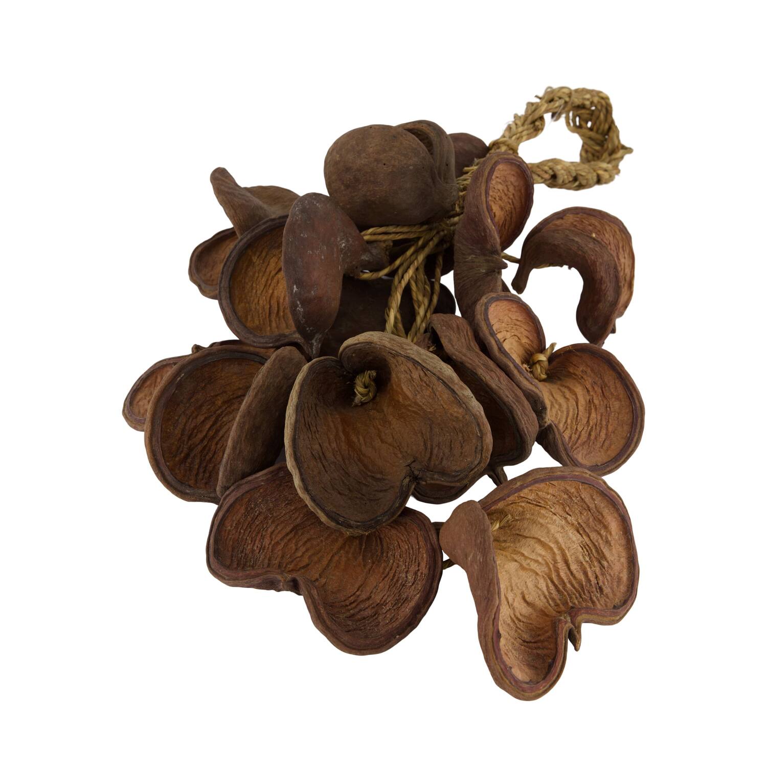 Hanger badam nature 60x20x15cm 15pc - Natural