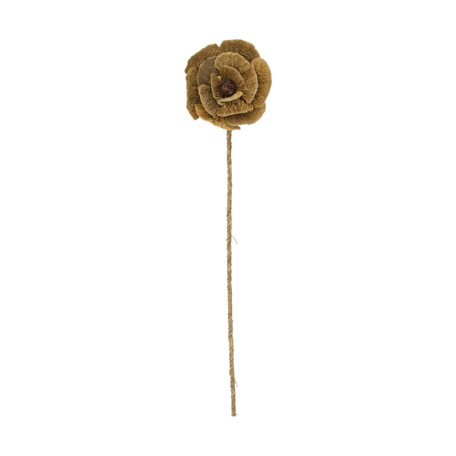 Flower sponge mushroom nature 70x13x18cm - Natural