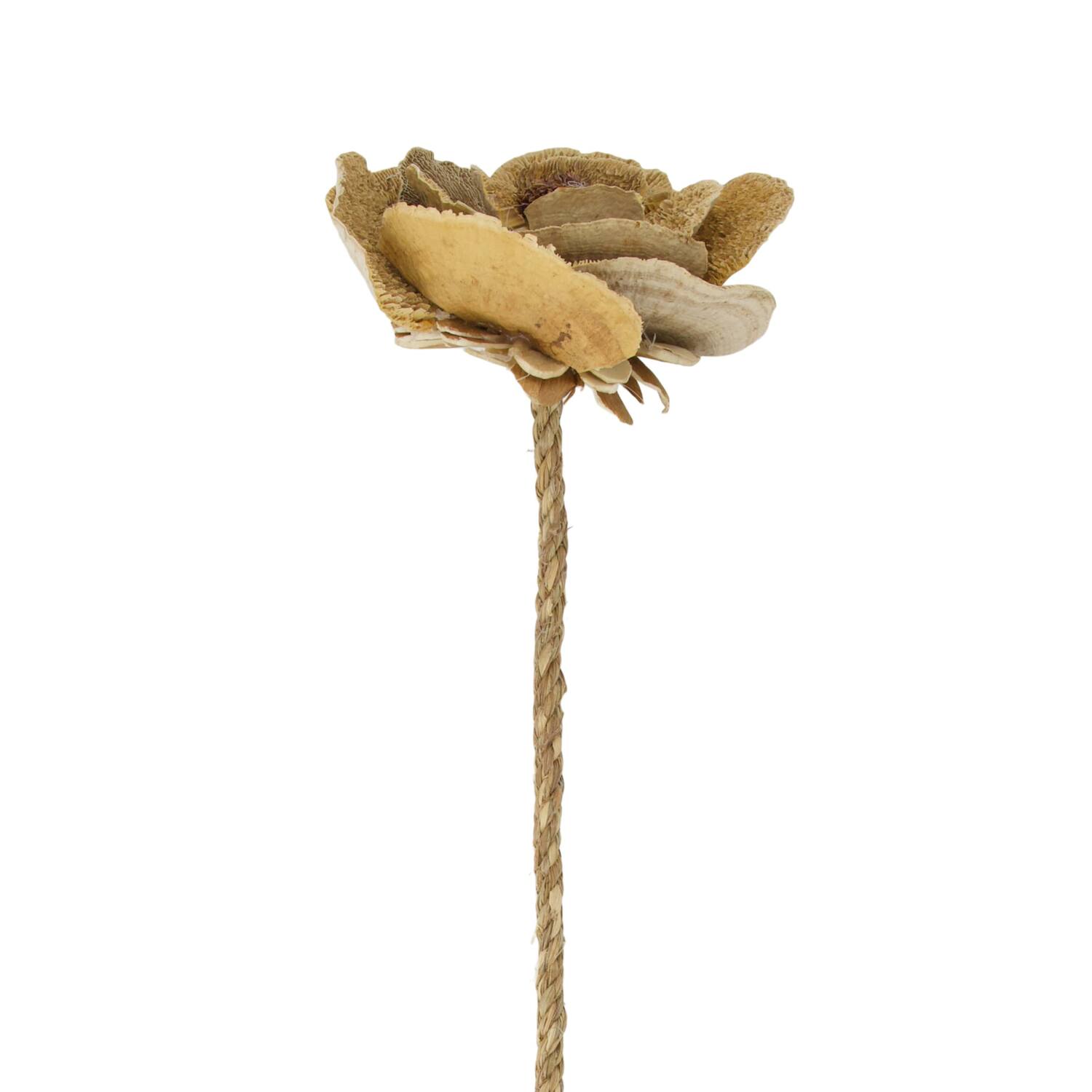 Flower sponge mushroom nature 70x13x18cm - Natural