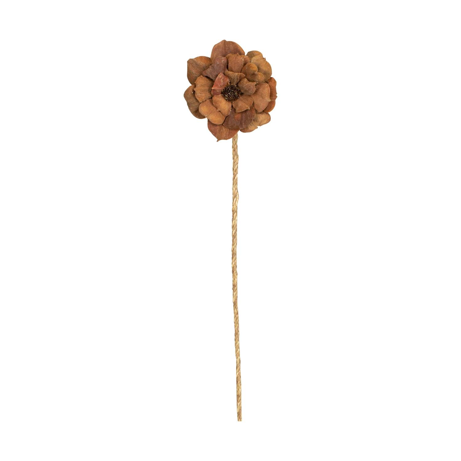 Flower landlotus nature 70x15x15cm - Natural