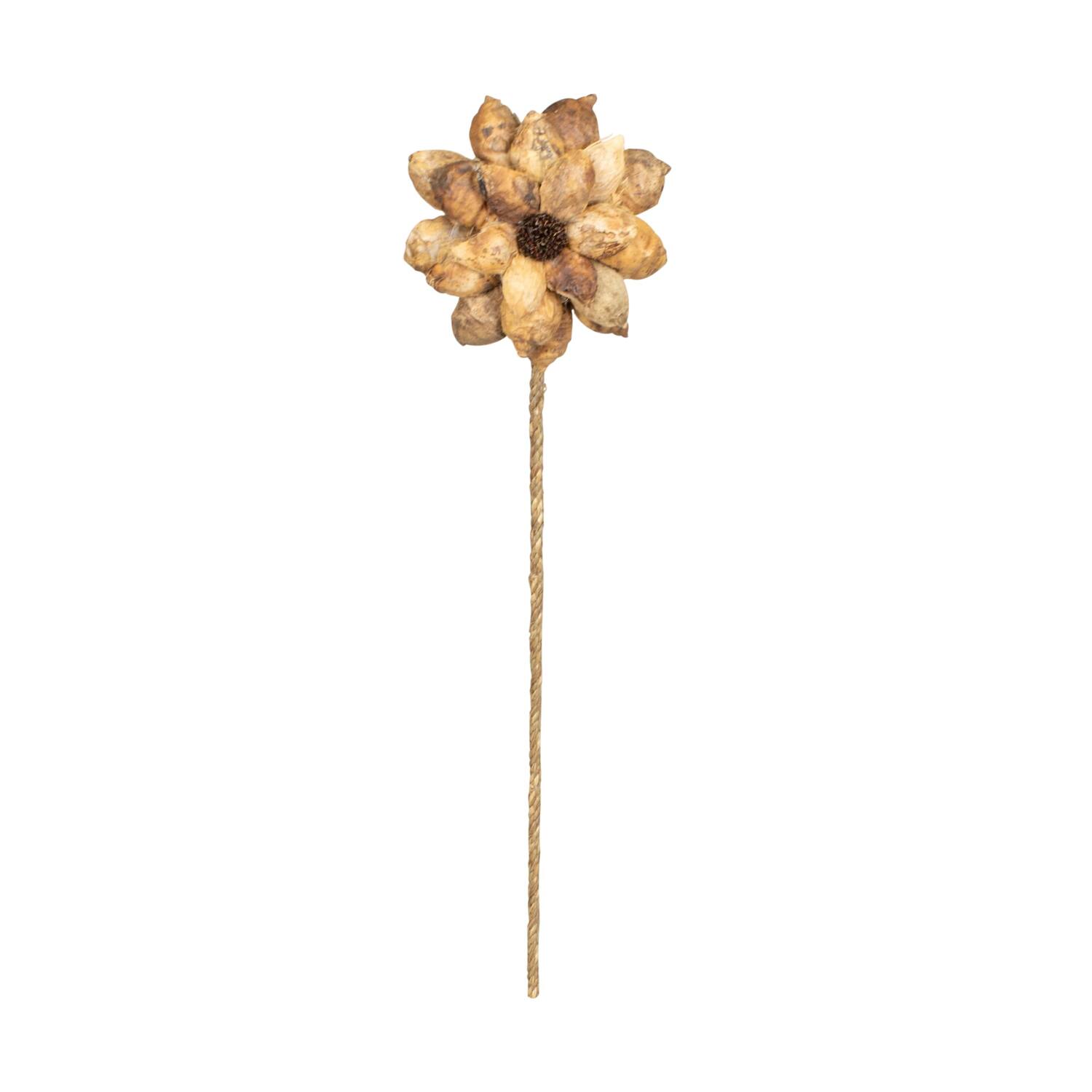 Flower beetal pod nature 70x15x15cm - Natural