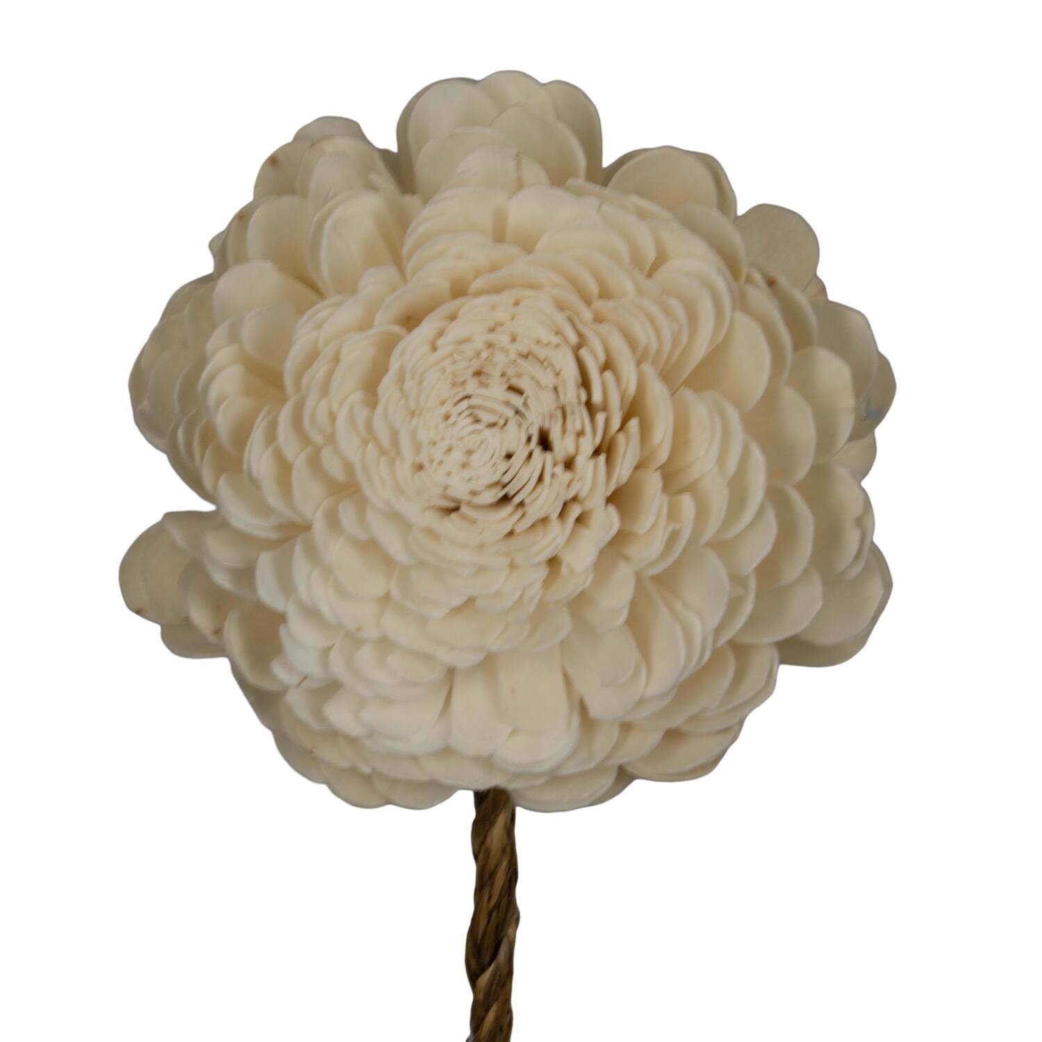 Flower sola belli nature 65x12x12cm