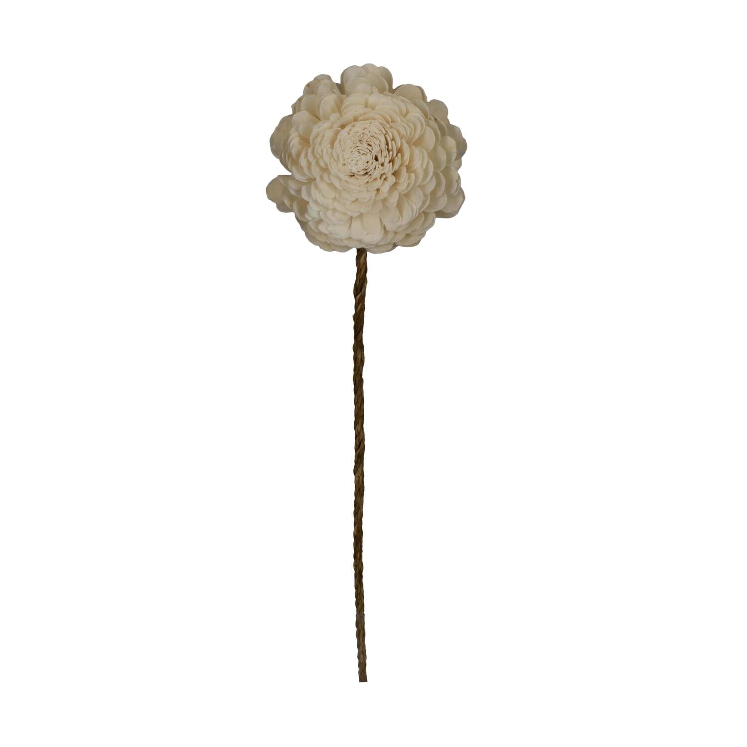 Flower sola belli nature 65x12x12cm