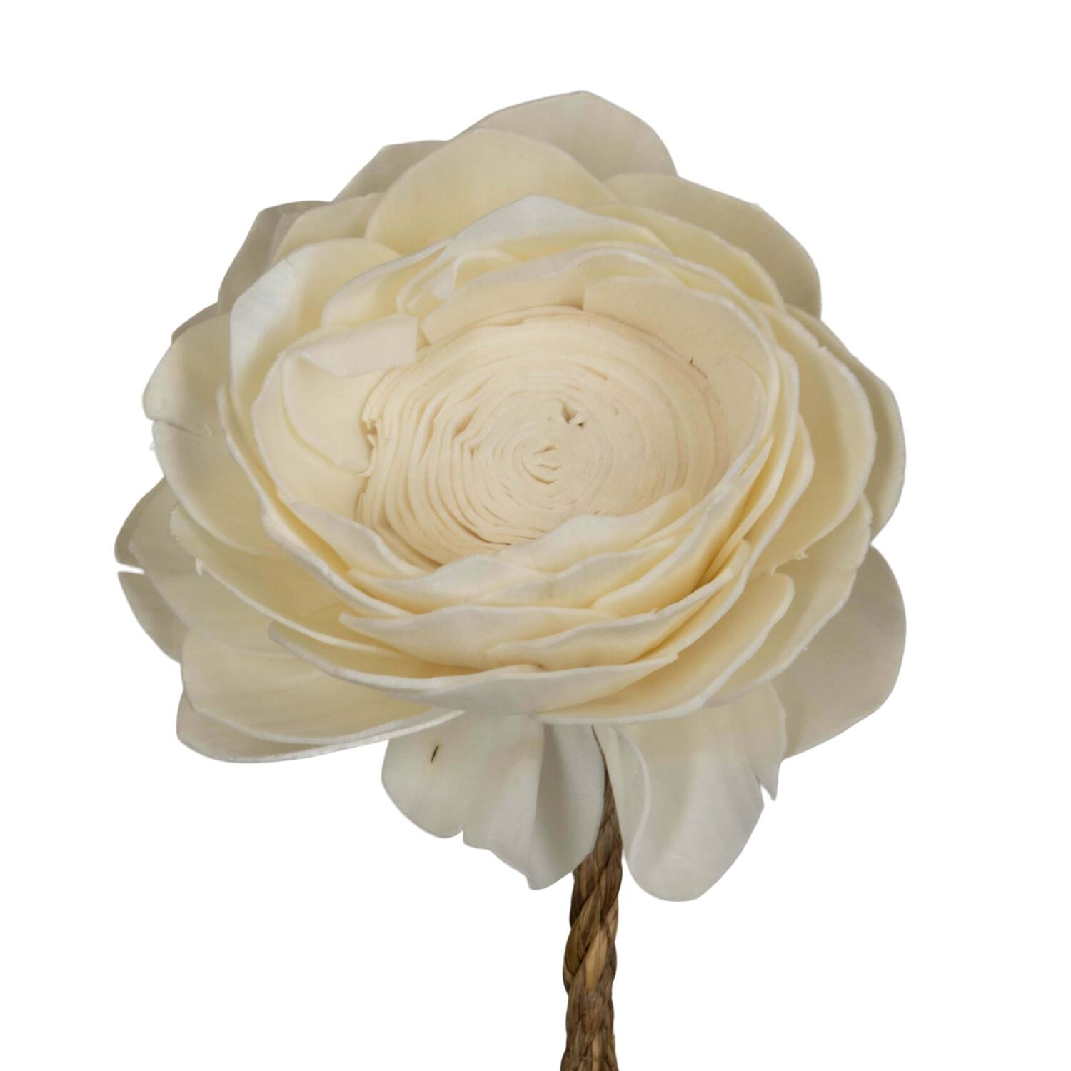 Flower sola lotus nature 65x12x12cm - White