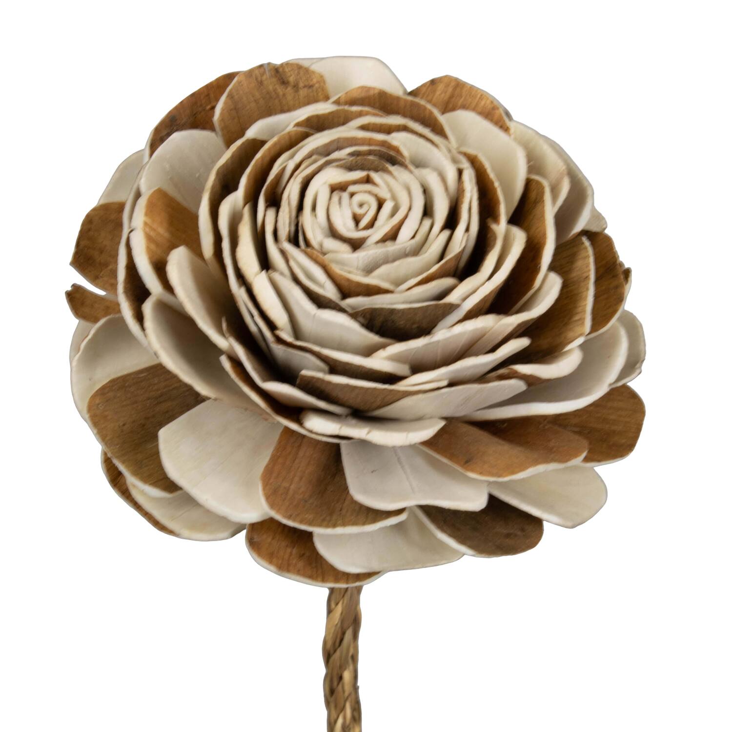 Flower sola buster gardenia two tone nature 65x12x12cm - Cream