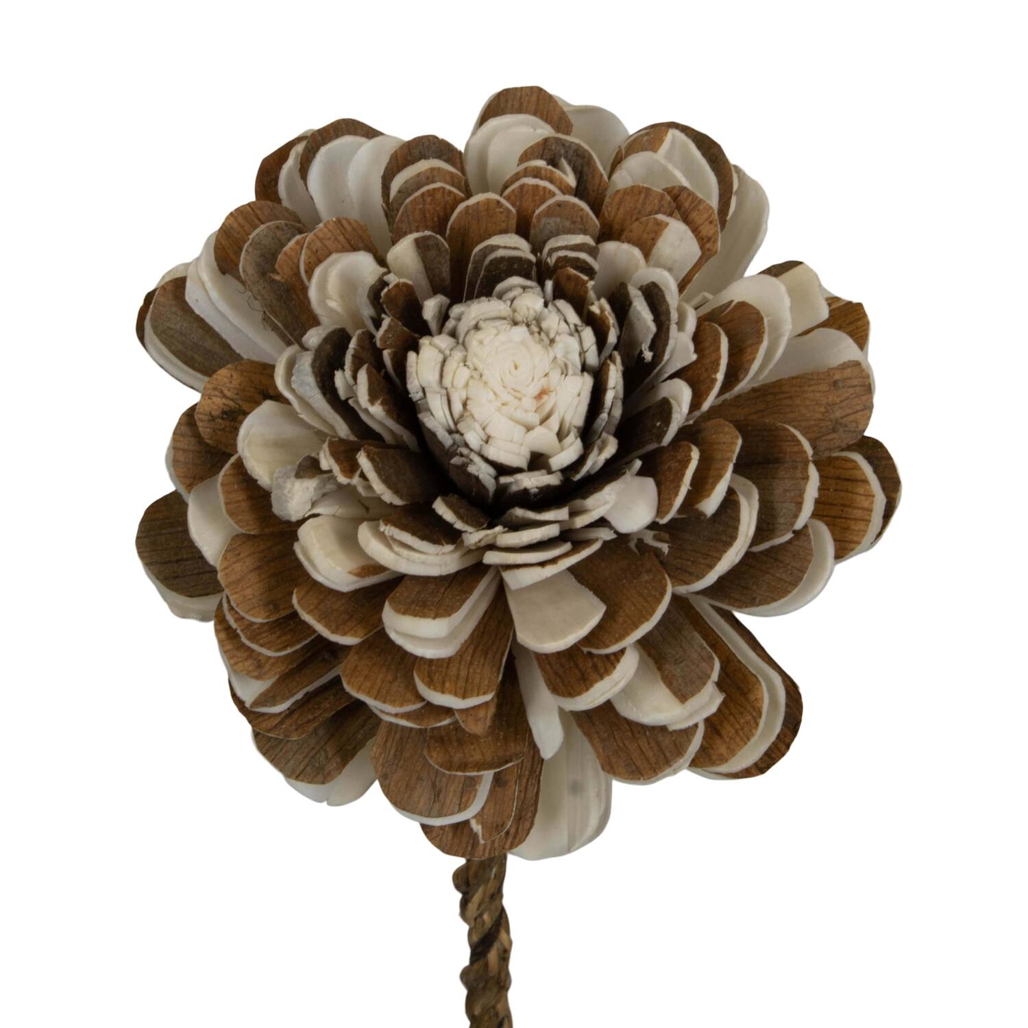 Flower sola belli nature 65x12x12cm - Cream