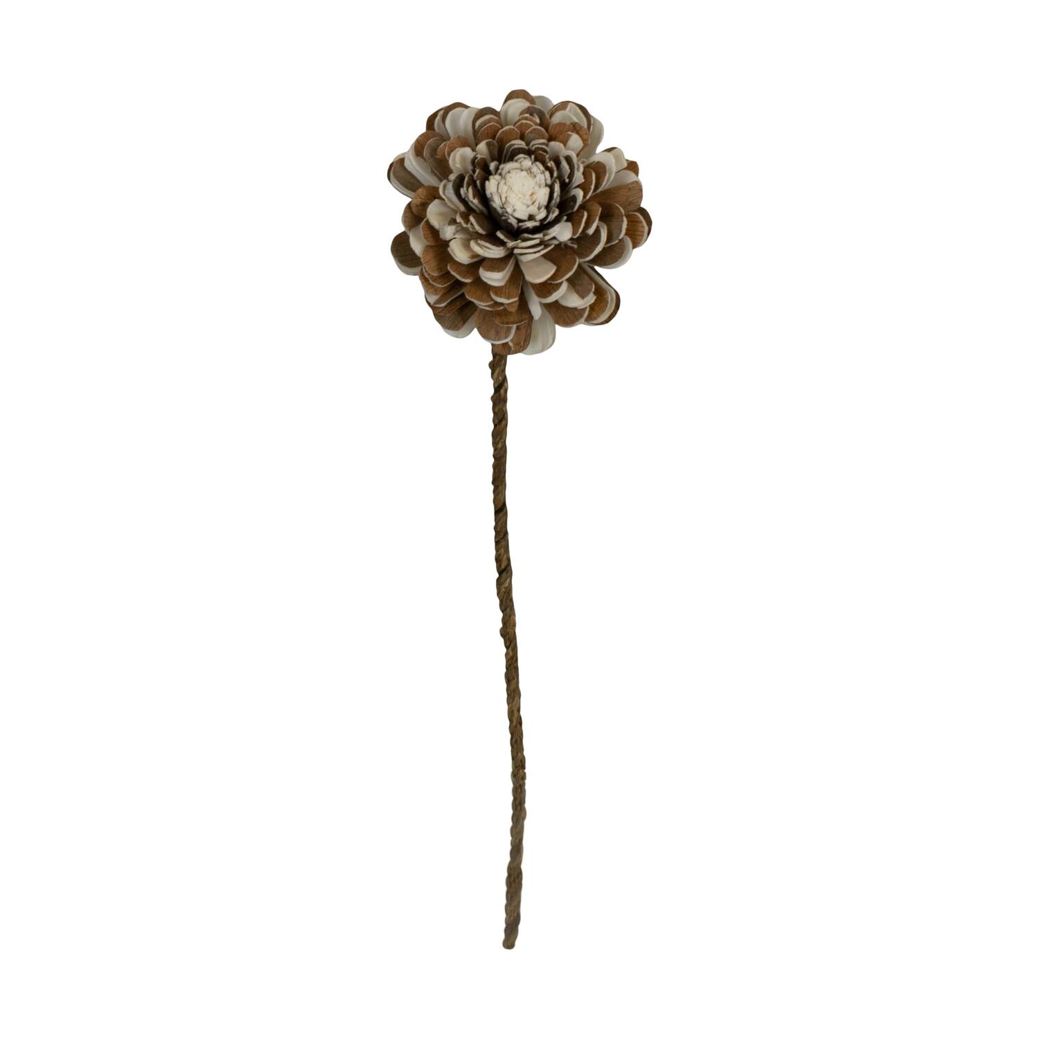 Flower sola belli nature 65x12x12cm - Cream