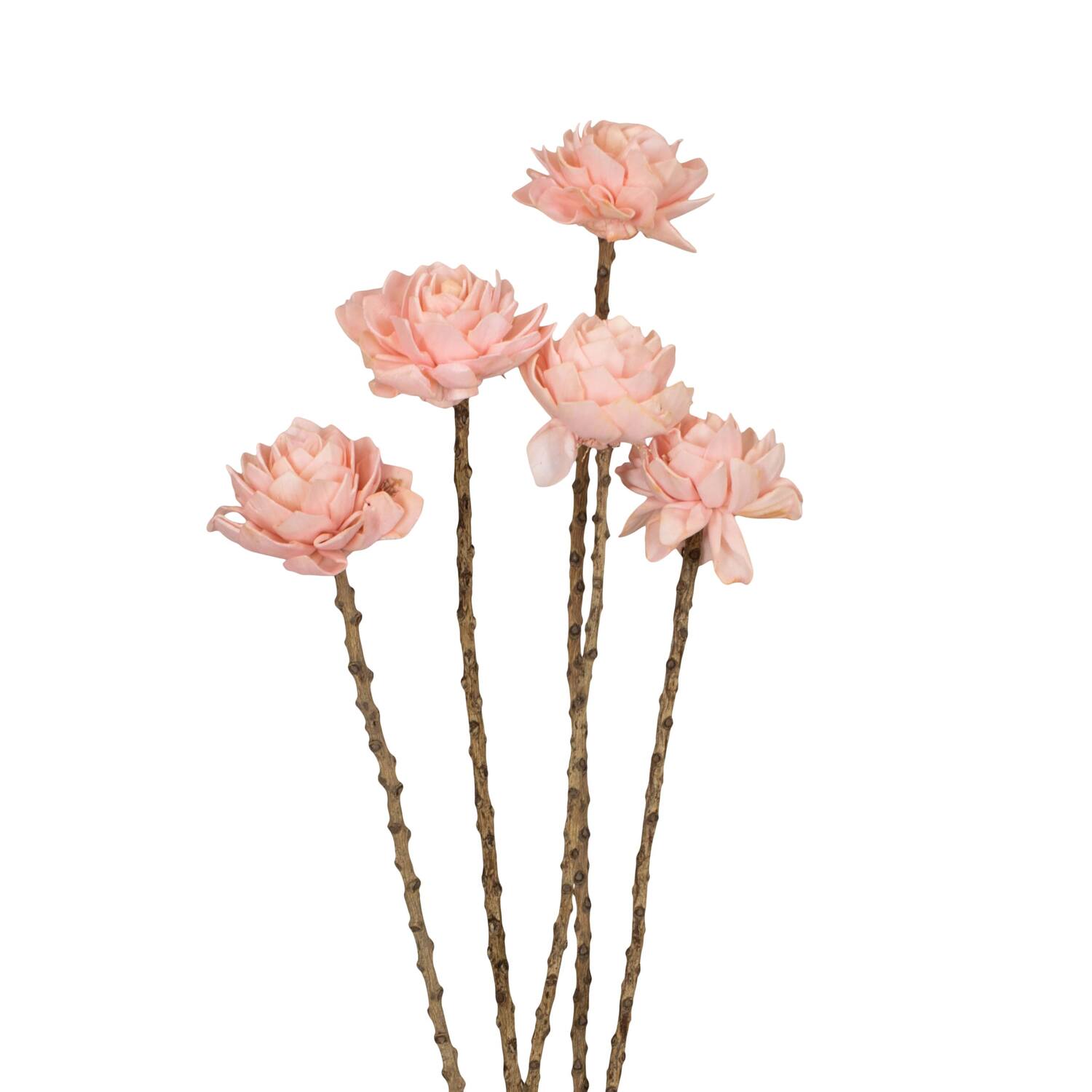 Flower sola dahlia coco 55x6x6cm 5pc