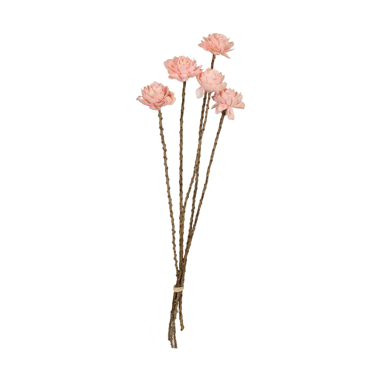 Flower sola dahlia coco 55x6x6cm 5pc