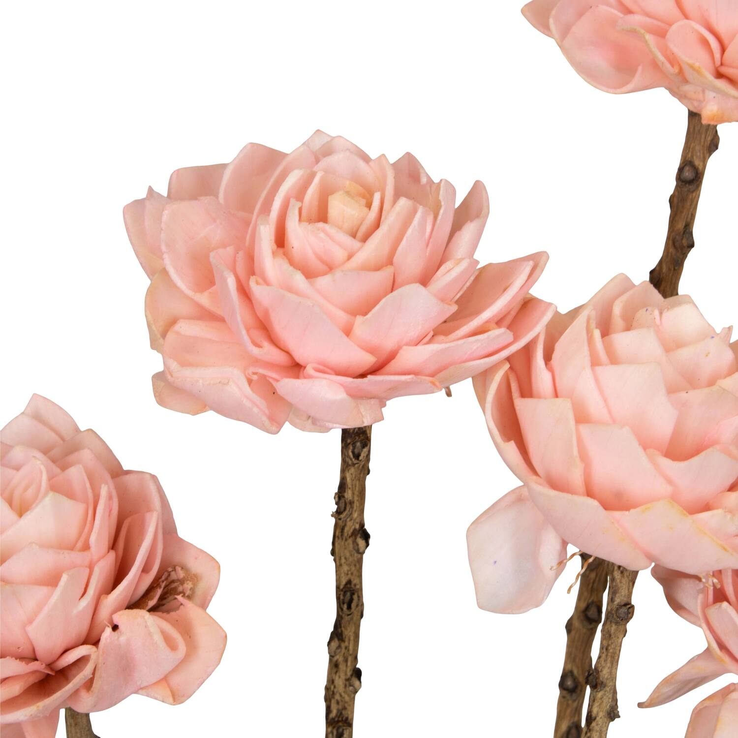 Flower sola dahlia coco 55x6x6cm 5pc