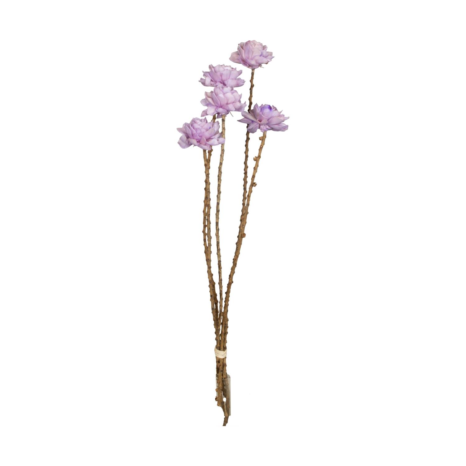 Flower sola dahlia coco 55x6x6cm 5pc - Purple