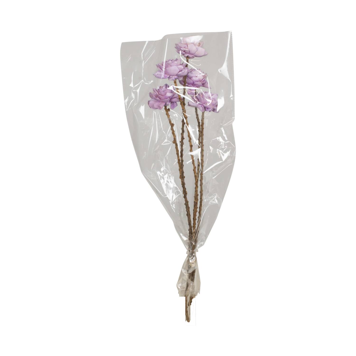 Flower sola dahlia coco 55x6x6cm 5pc - Purple