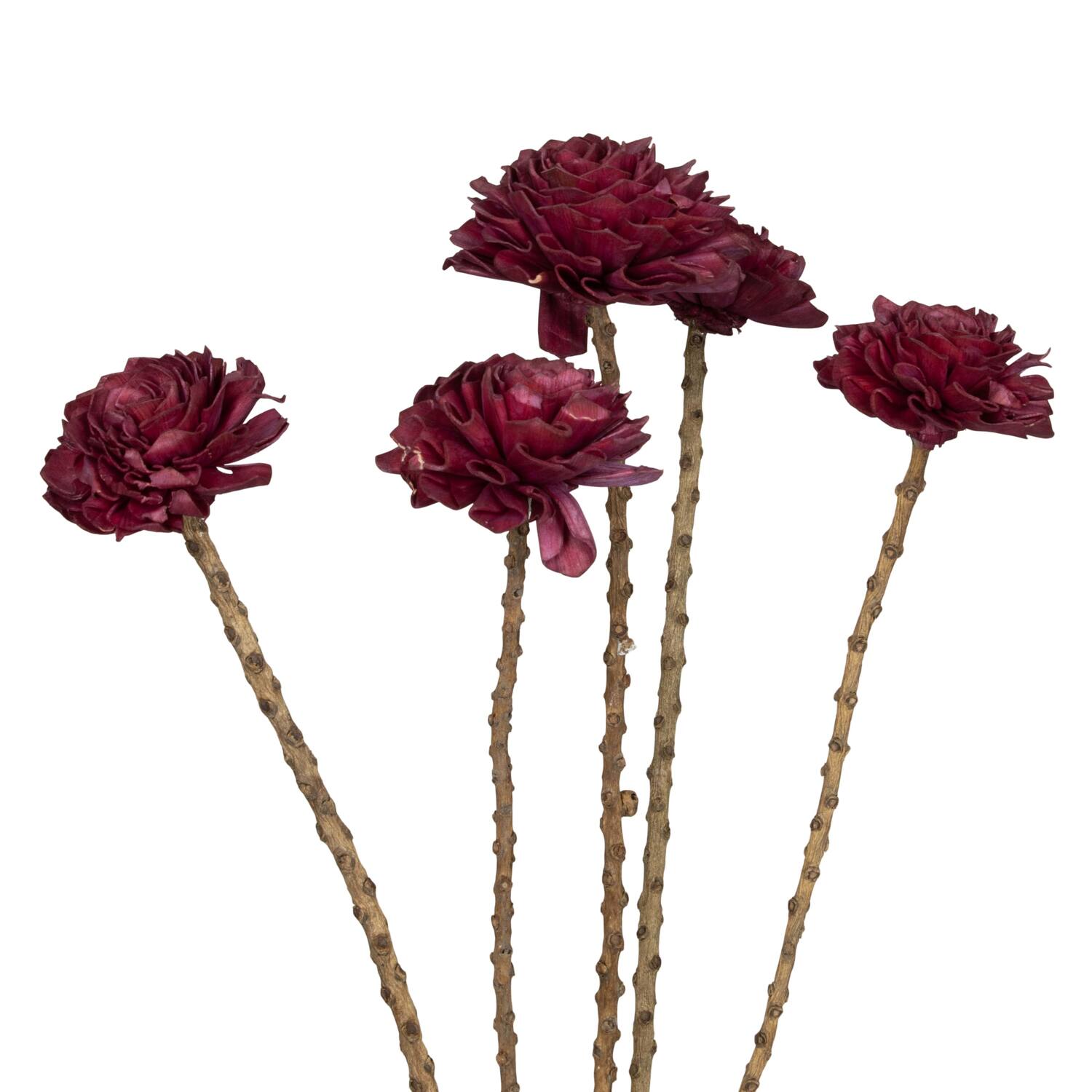 Flower sola dahlia coco 55x6x6cm 5pc - Purple