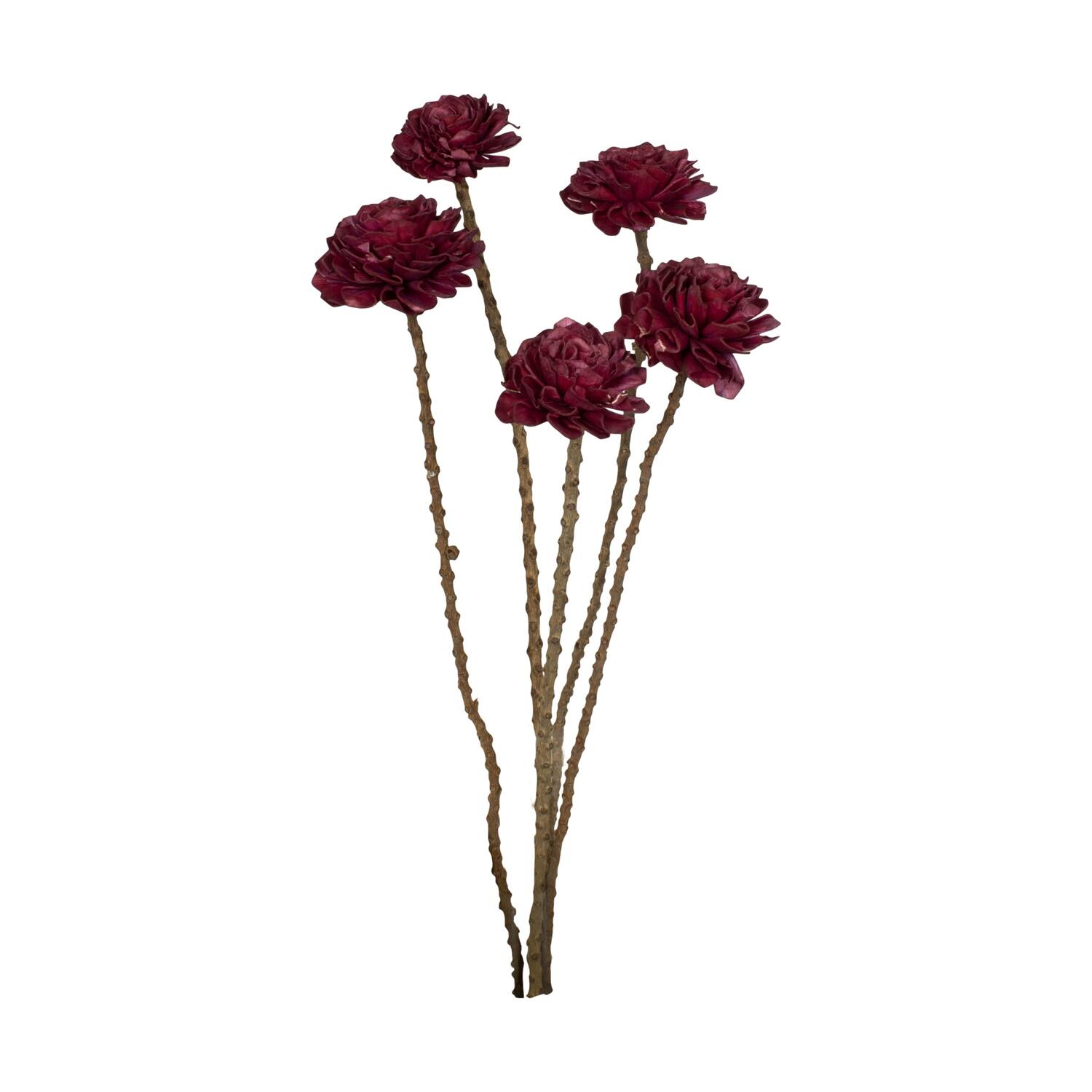 Flower sola dahlia coco 55x6x6cm 5pc - Purple