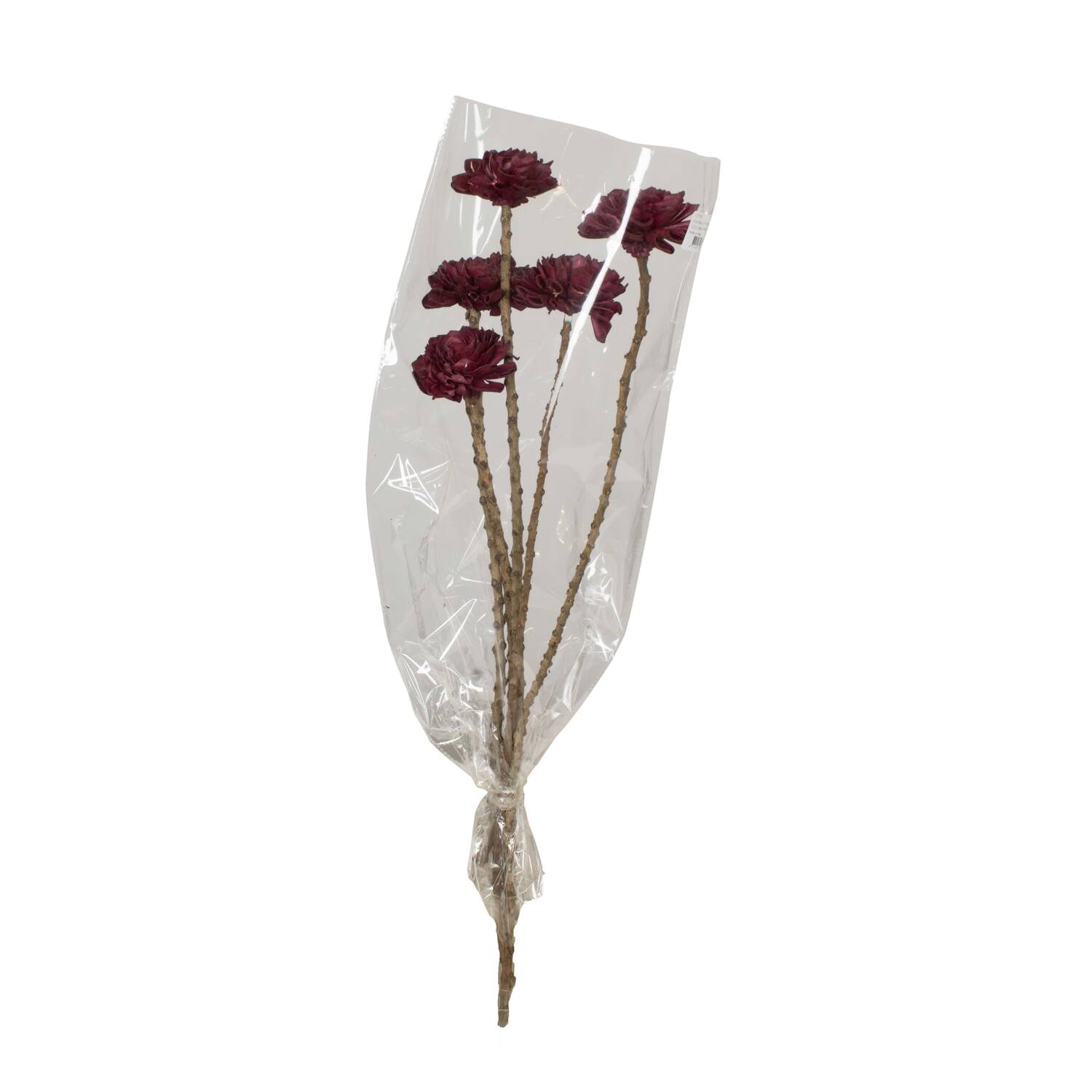 Flower sola dahlia coco 55x6x6cm 5pc - Purple
