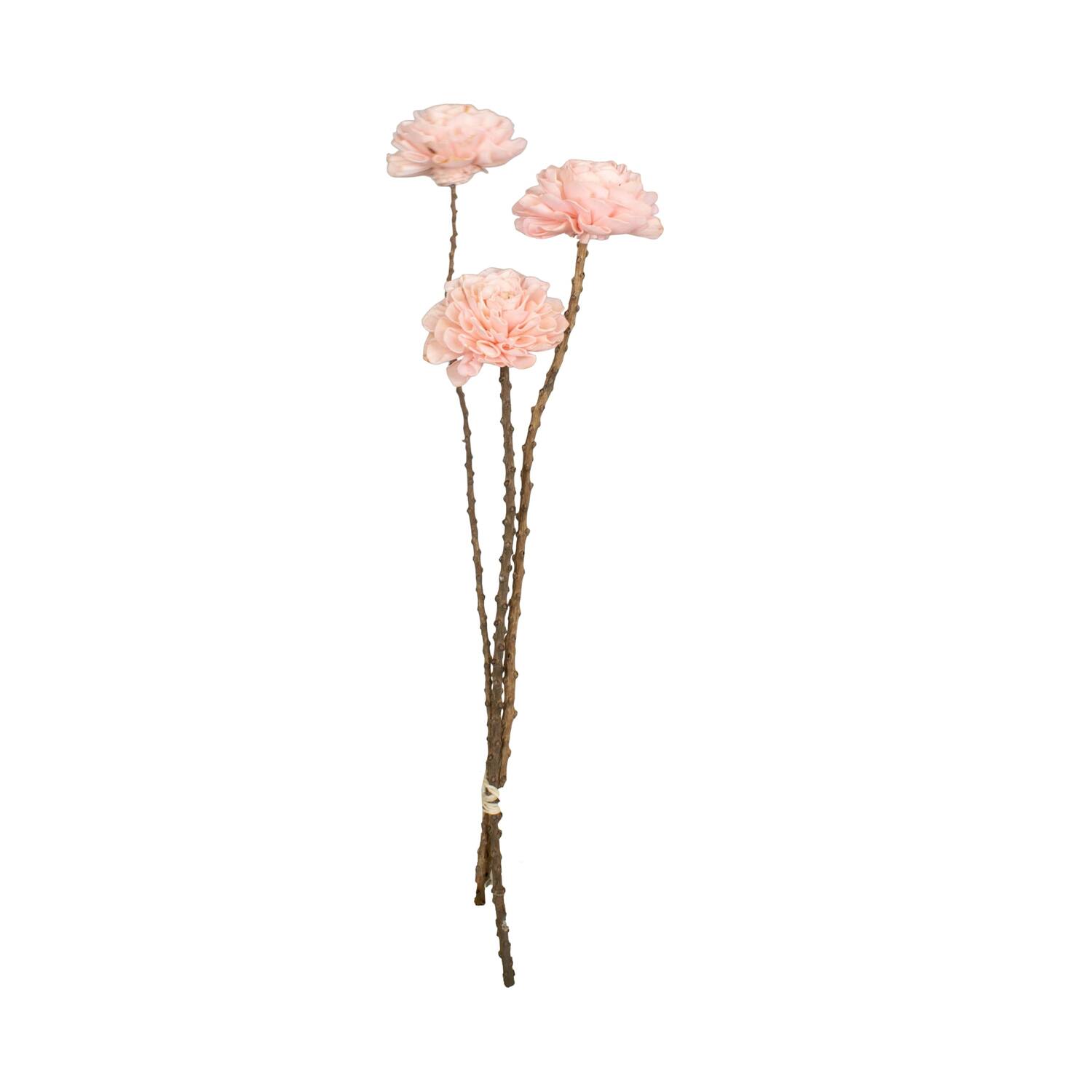 Flower sola dahlia coco 55x10x10cm 3pc - Pink