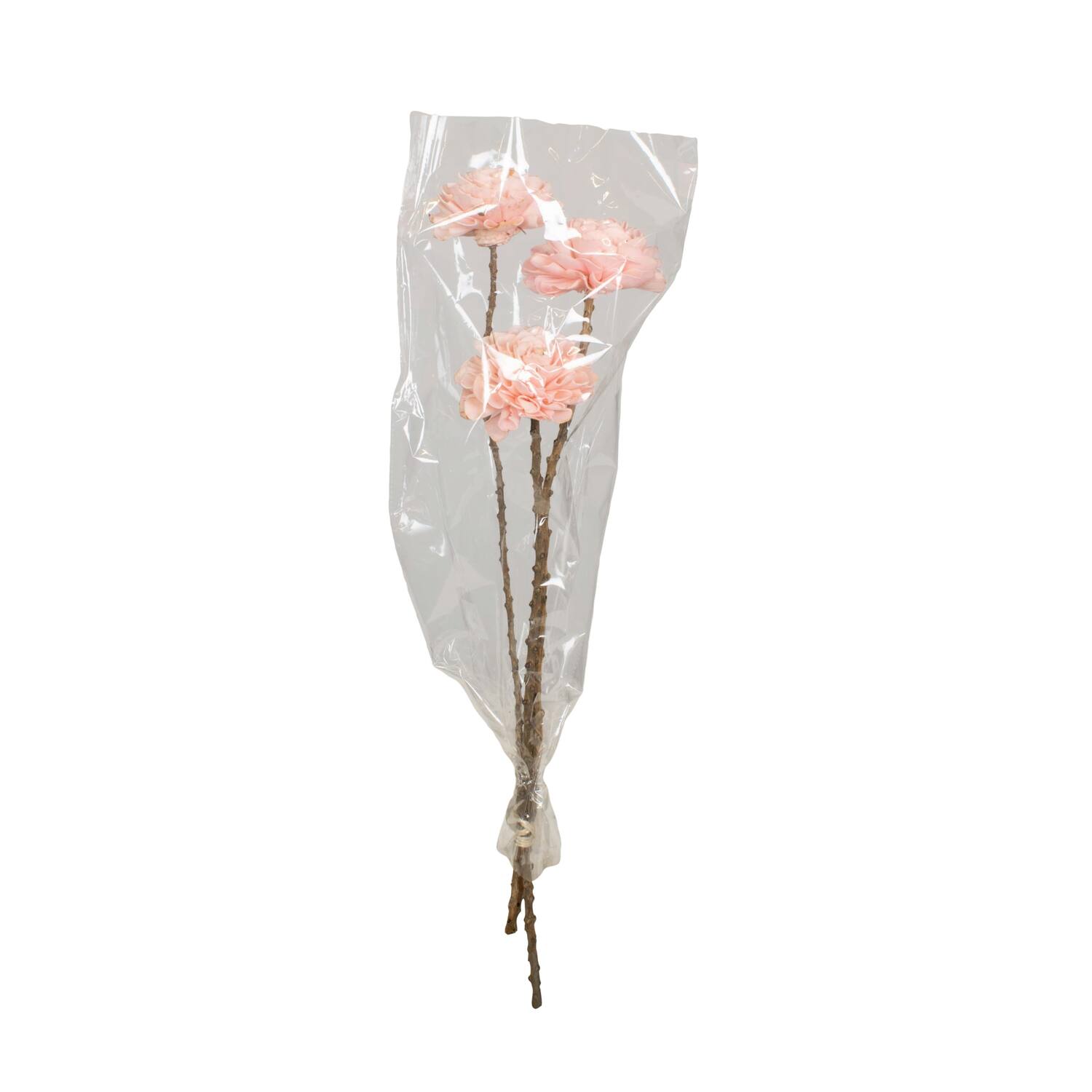 Flower sola dahlia coco 55x10x10cm 3pc - Pink