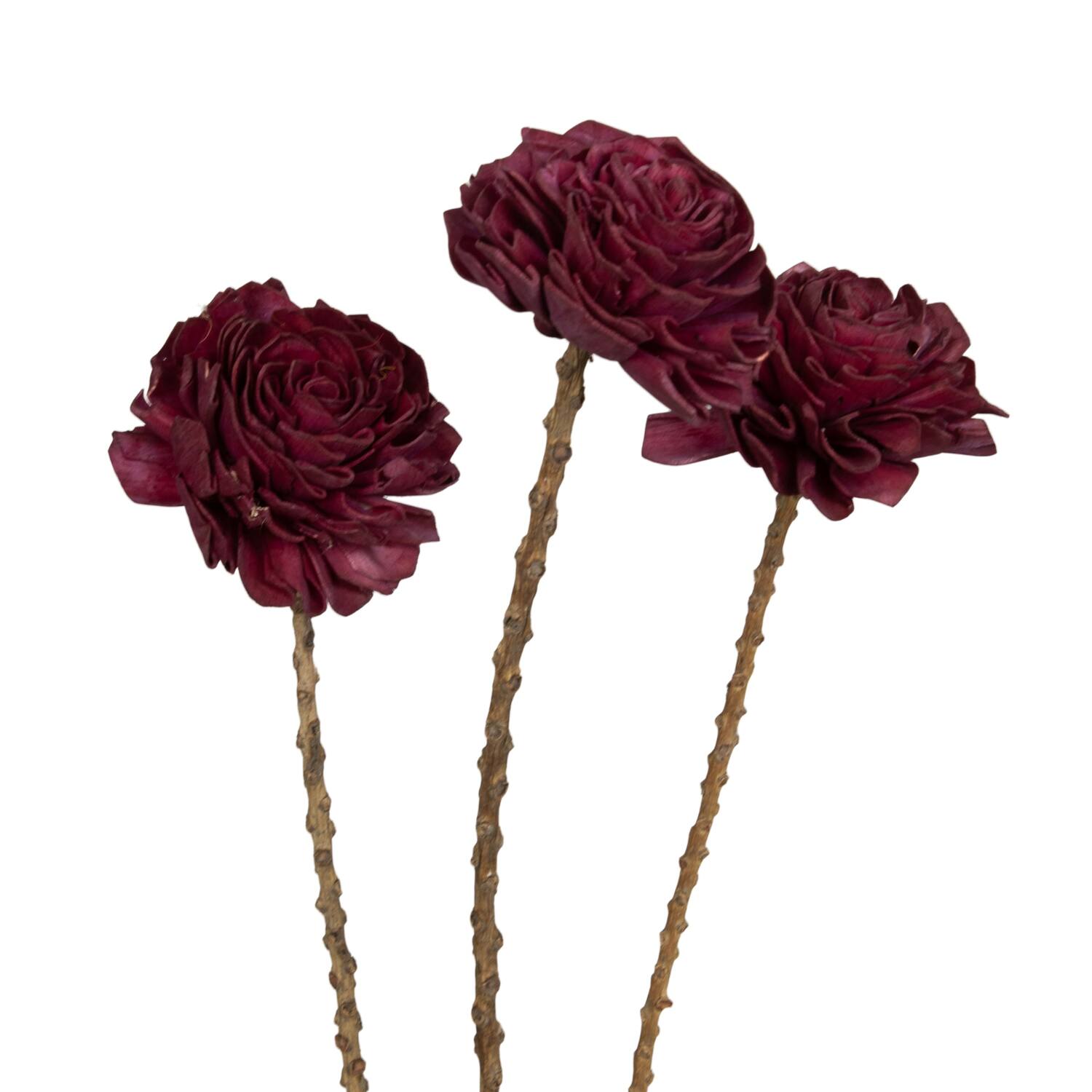 Flower sola dahlia coco 55x10x10cm 3pc - Purple