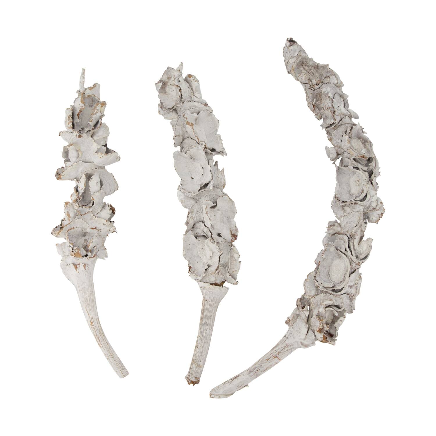 Stick palm female bundle with vizy rope nature 40x13x11cm 3pc