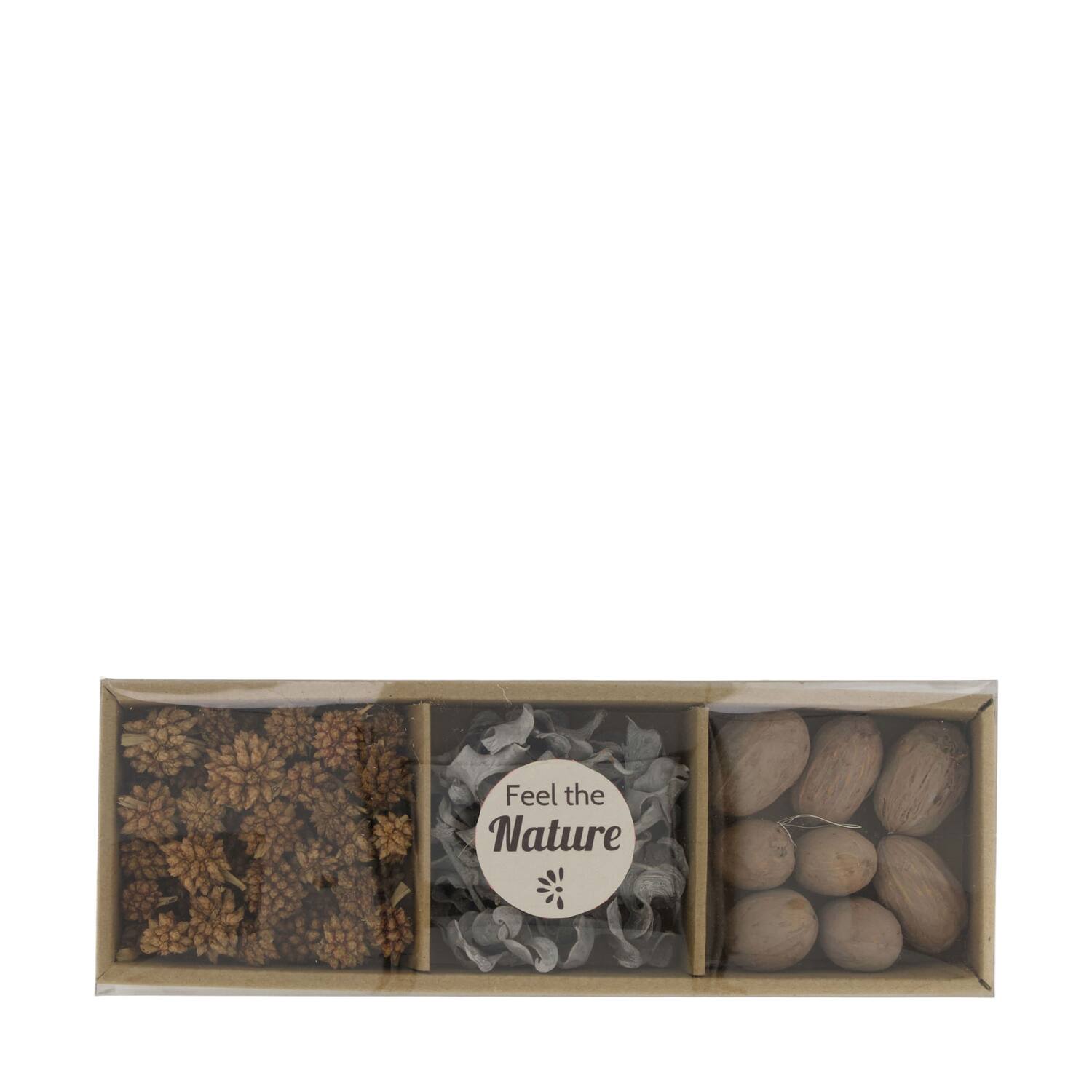 Exotic mix potpourri amrapod tray nature 28.5x10x4cm