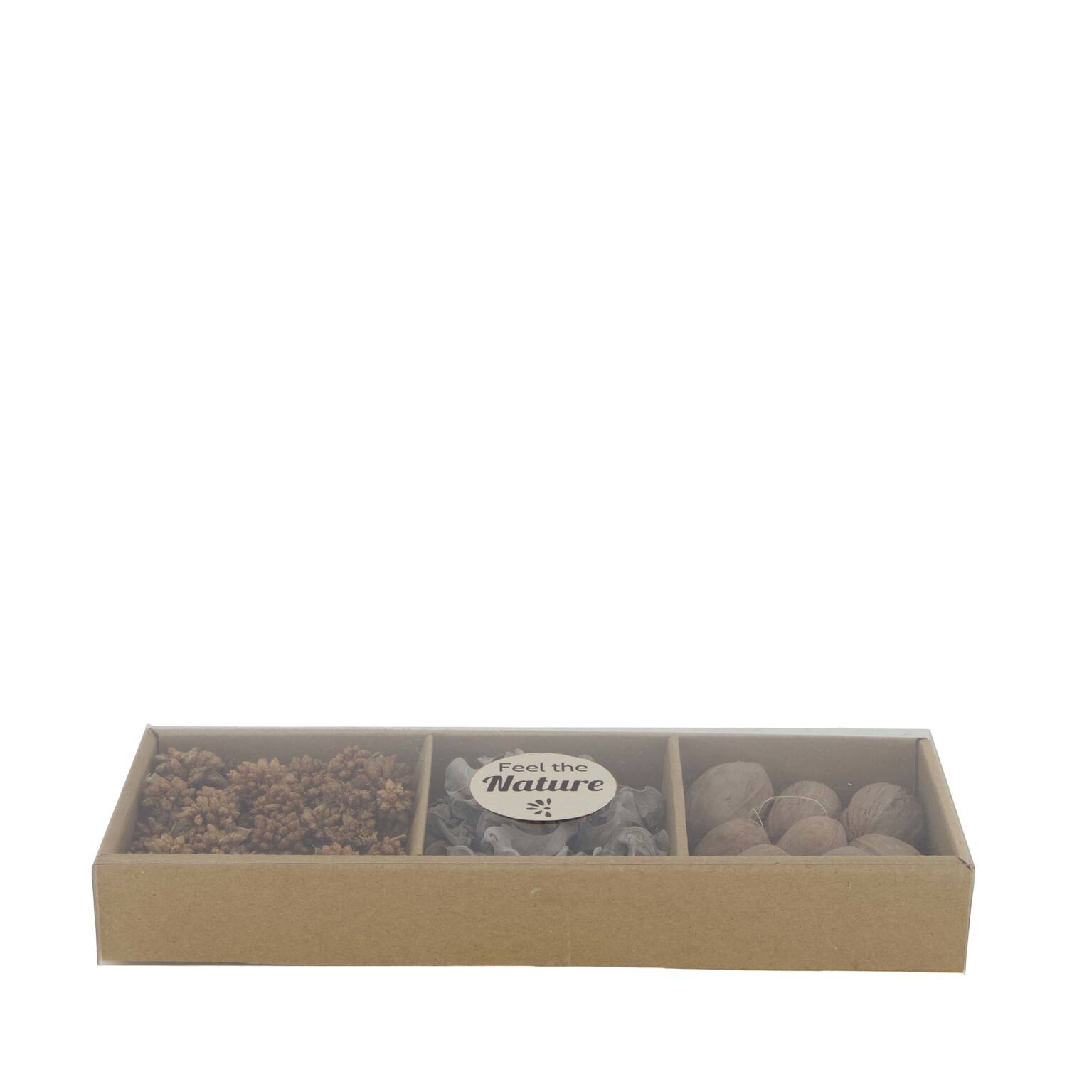 Exotic mix potpourri amrapod tray nature 28.5x10x4cm