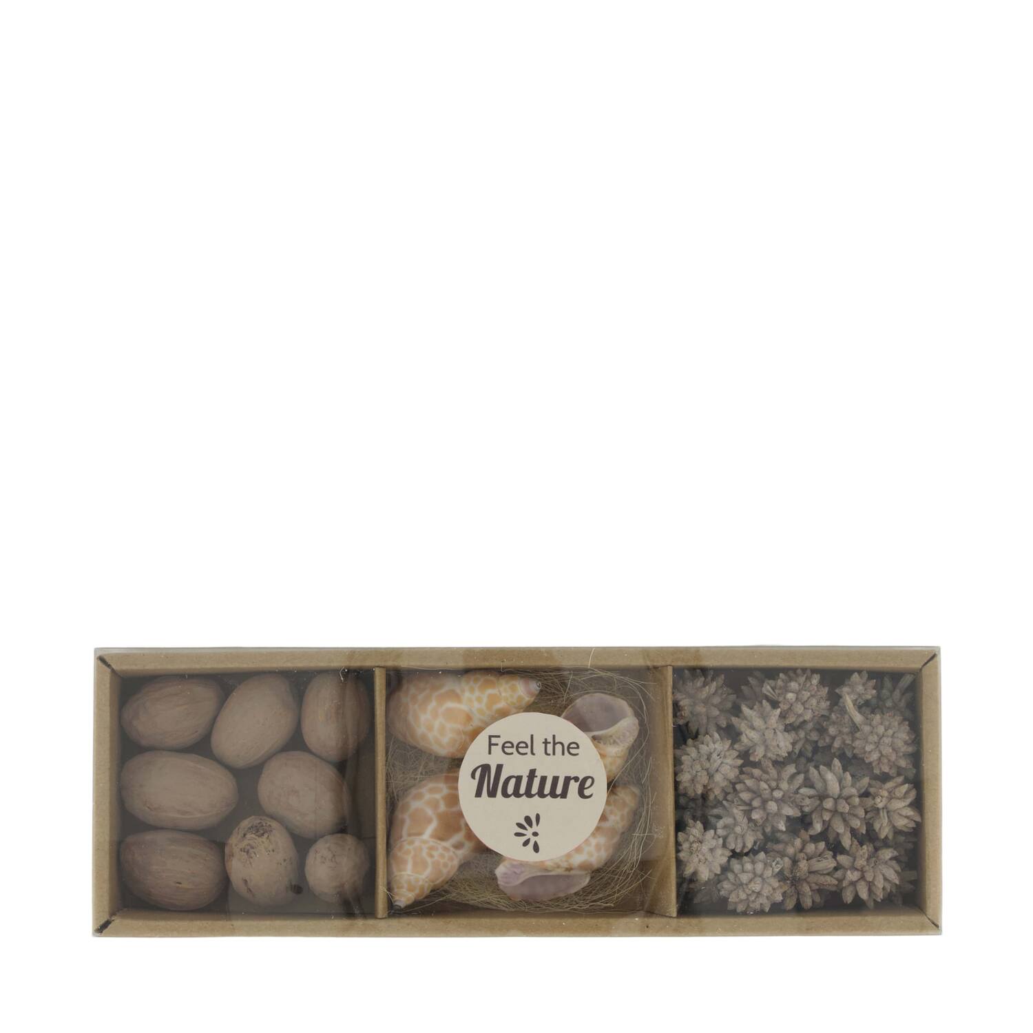 Exotic mix potpourri puramuttai tray nature 28.5x10x4cm - Cream