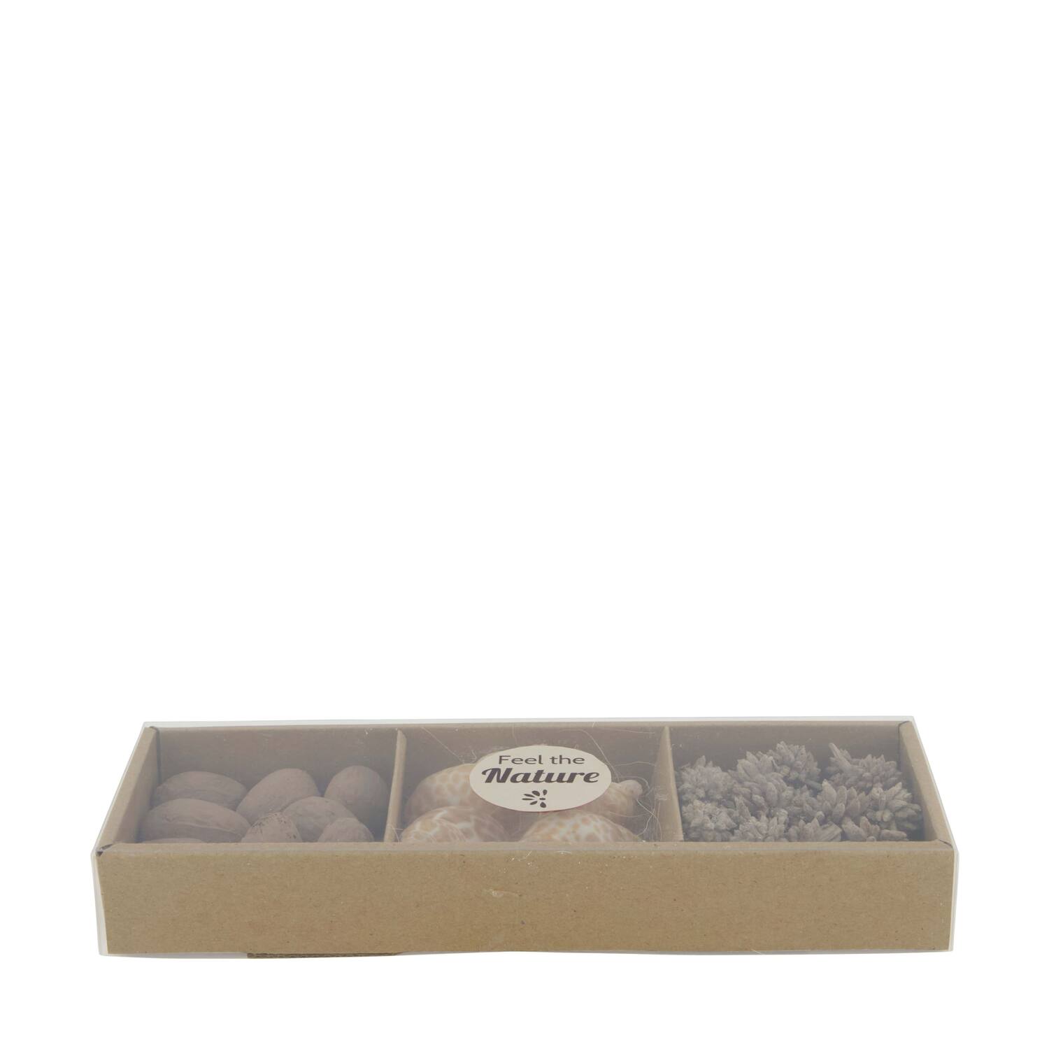 Exotic mix potpourri puramuttai tray nature 28.5x10x4cm - Cream