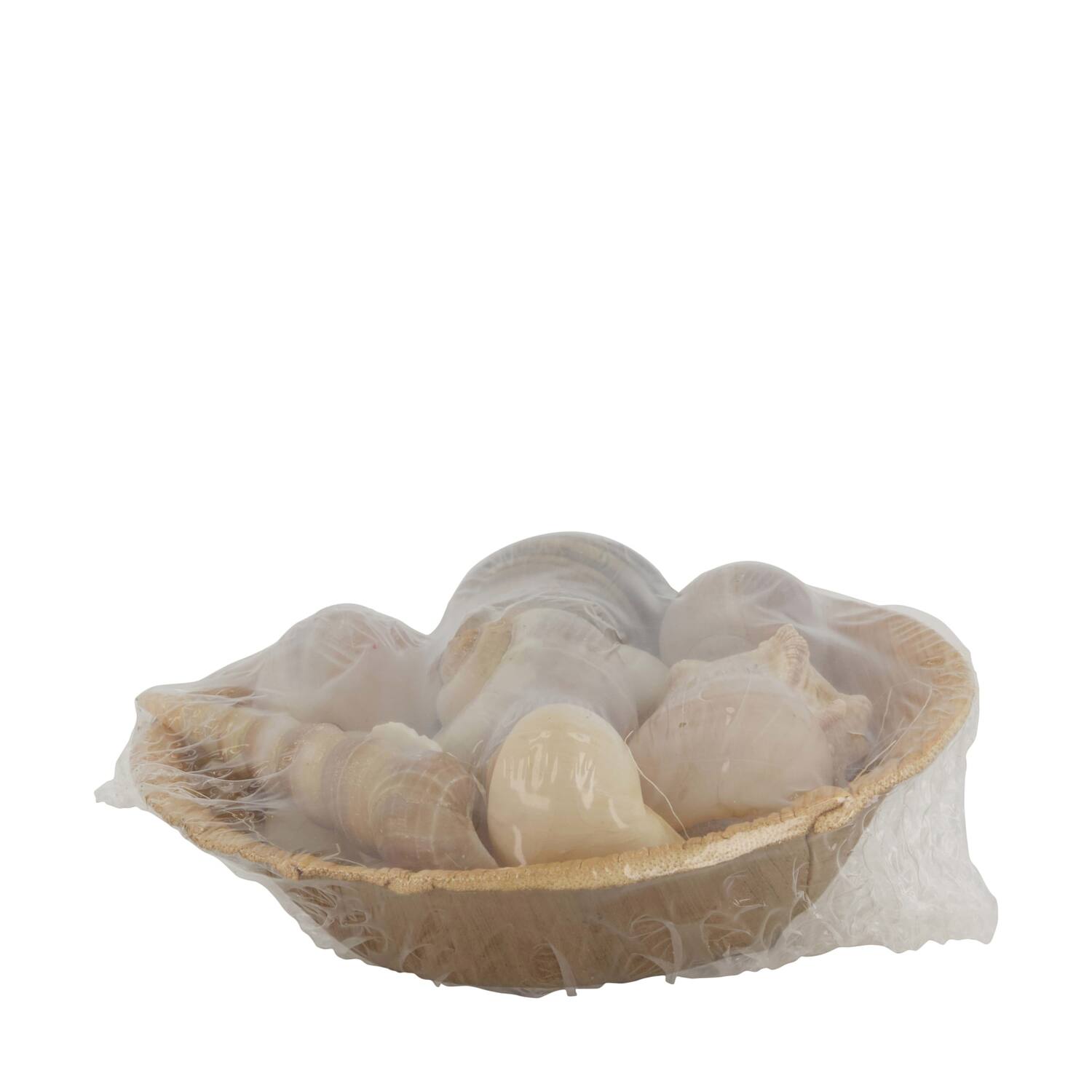 Shell in round bowl nature 13x13x5cm 90gr