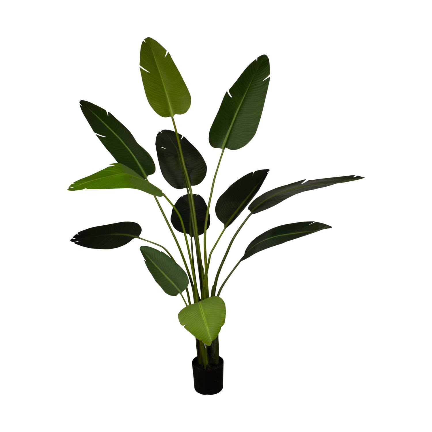 Plant strelitzia artificial 120x100x235cm KD - Green