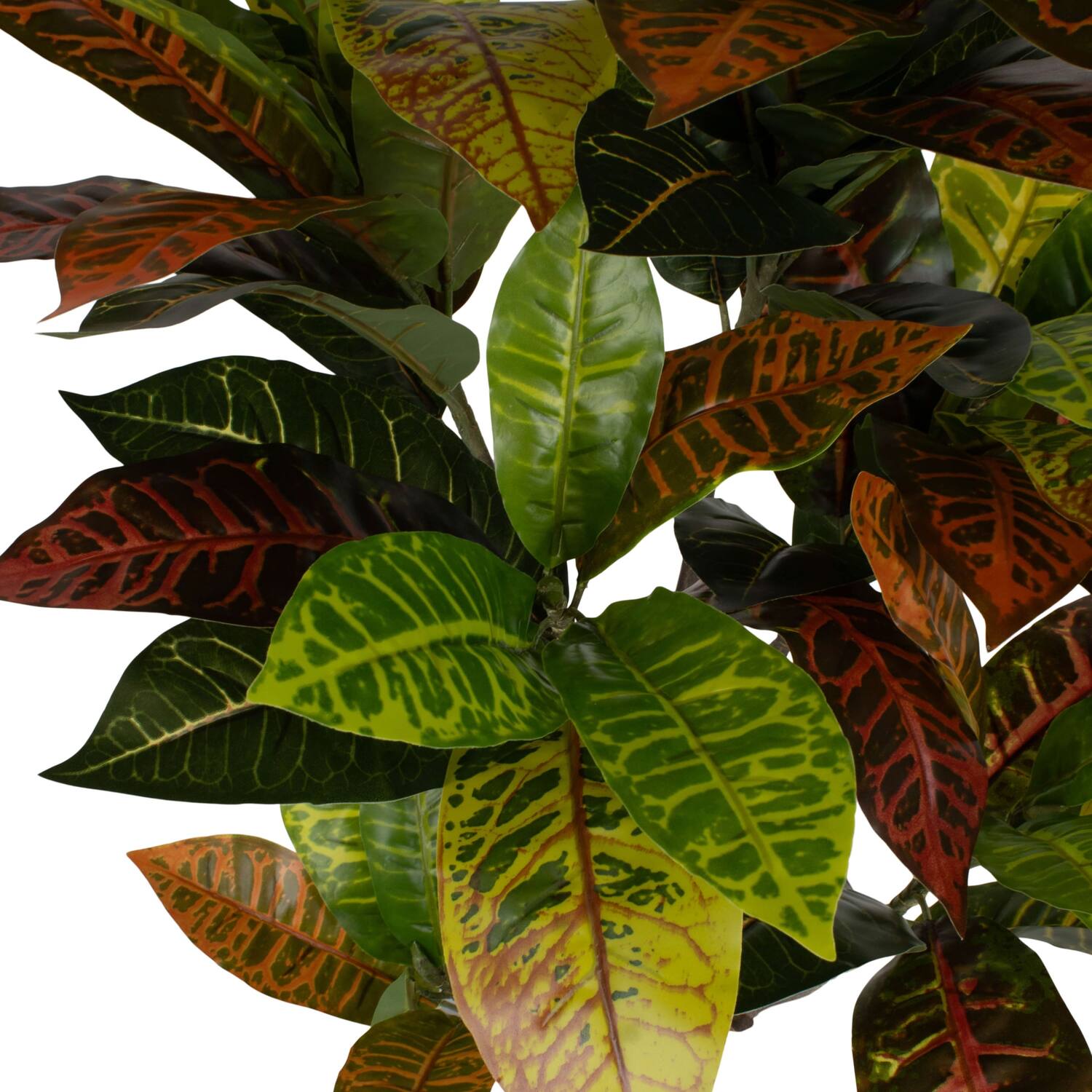 Plant croton artificial 70x70x100cm - Green
