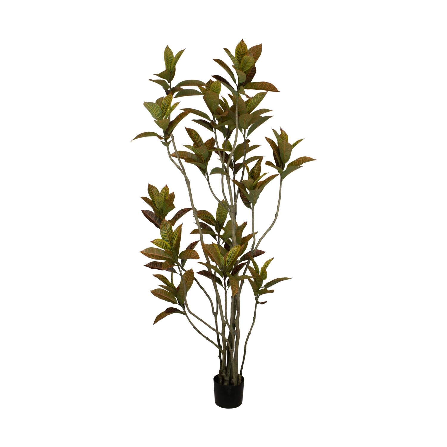 Plant croton artificial 70x80x185cm - Green