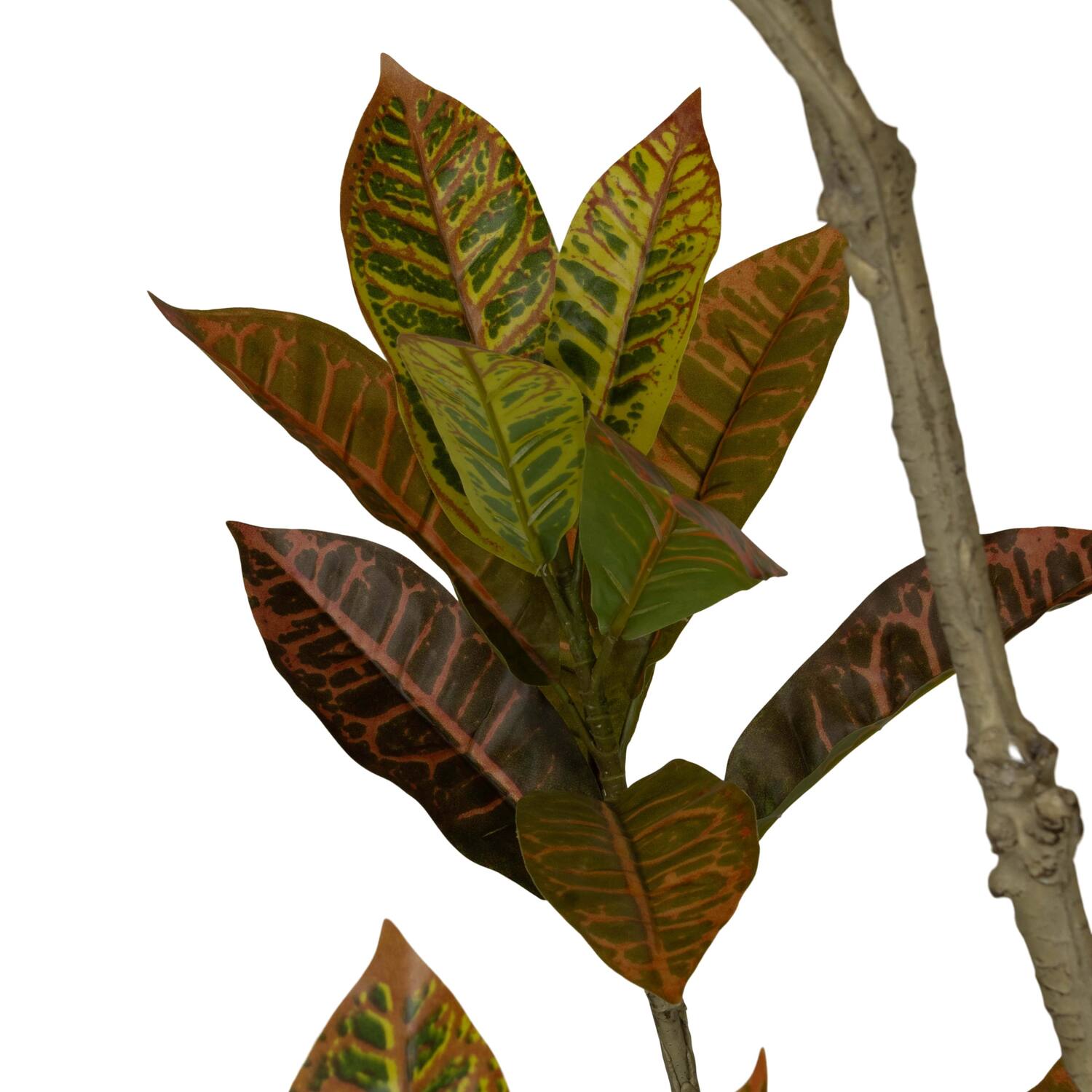 Plant croton artificial 70x80x185cm - Green
