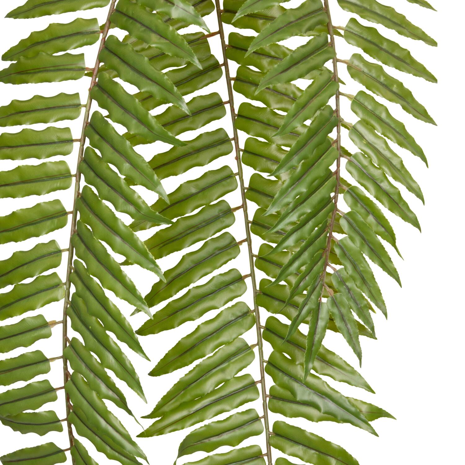 Plant fern artificial 180x40x8cm - Green