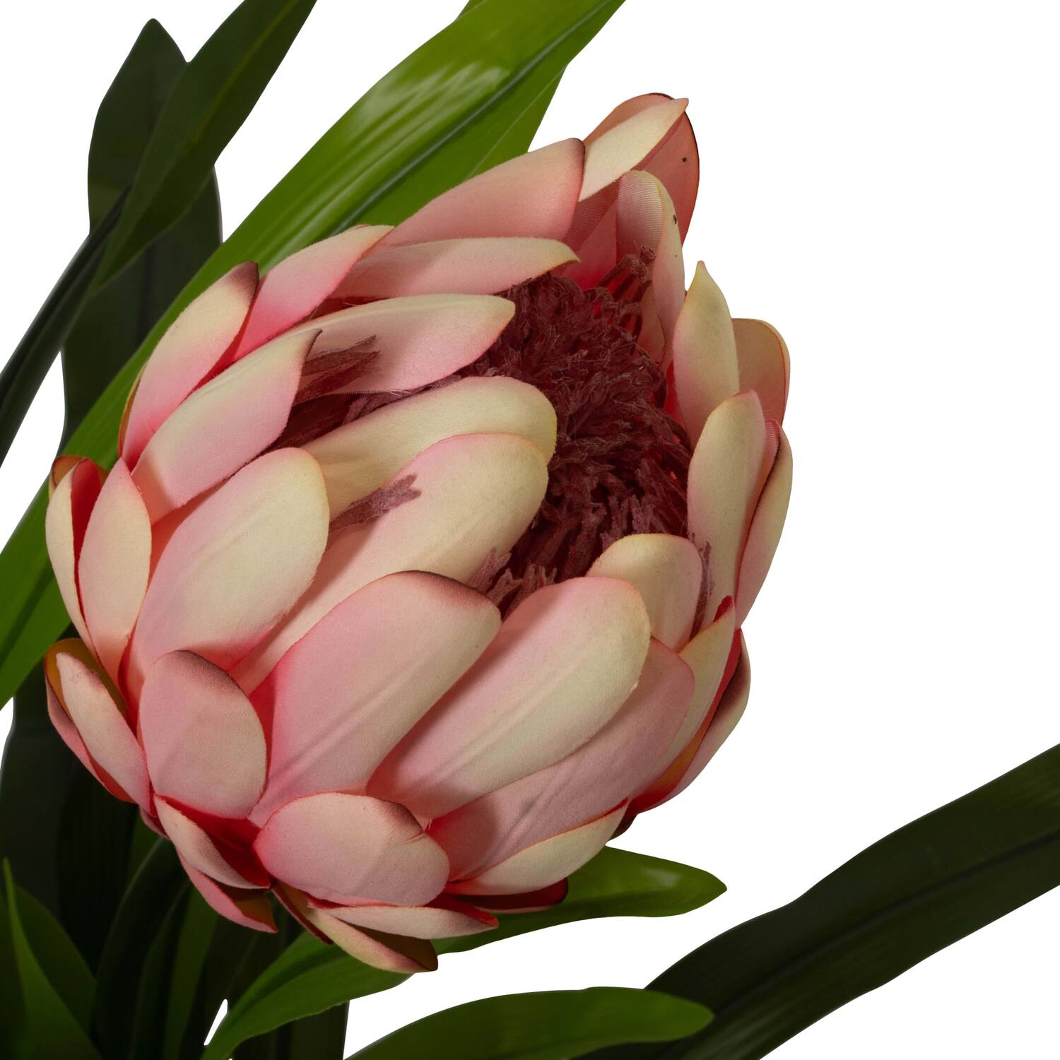 Flower protea artificial 80x75x116cm