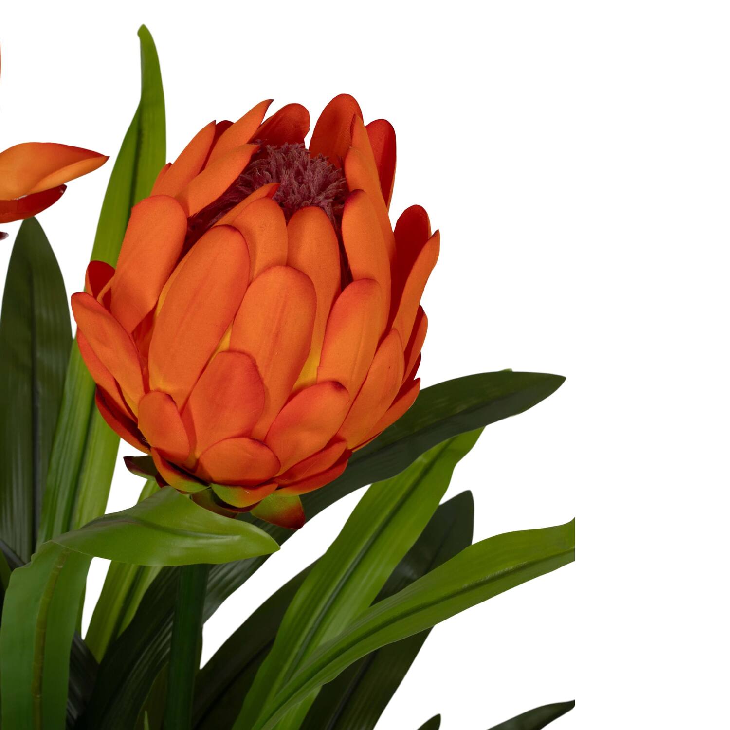 Flower protea artificial 80x75x116cm - Orange