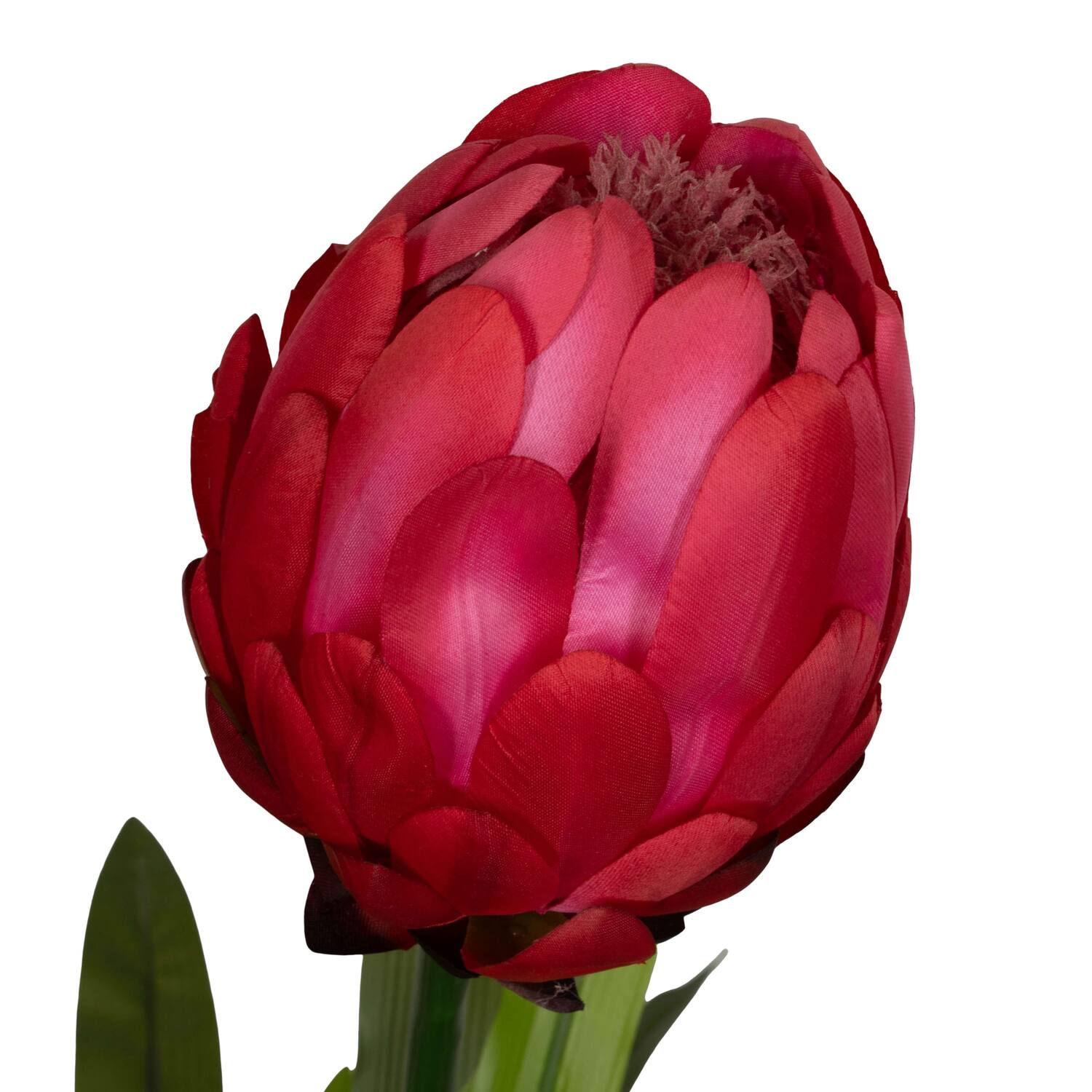 Flower protea artificial 80x75x116cm - Pink