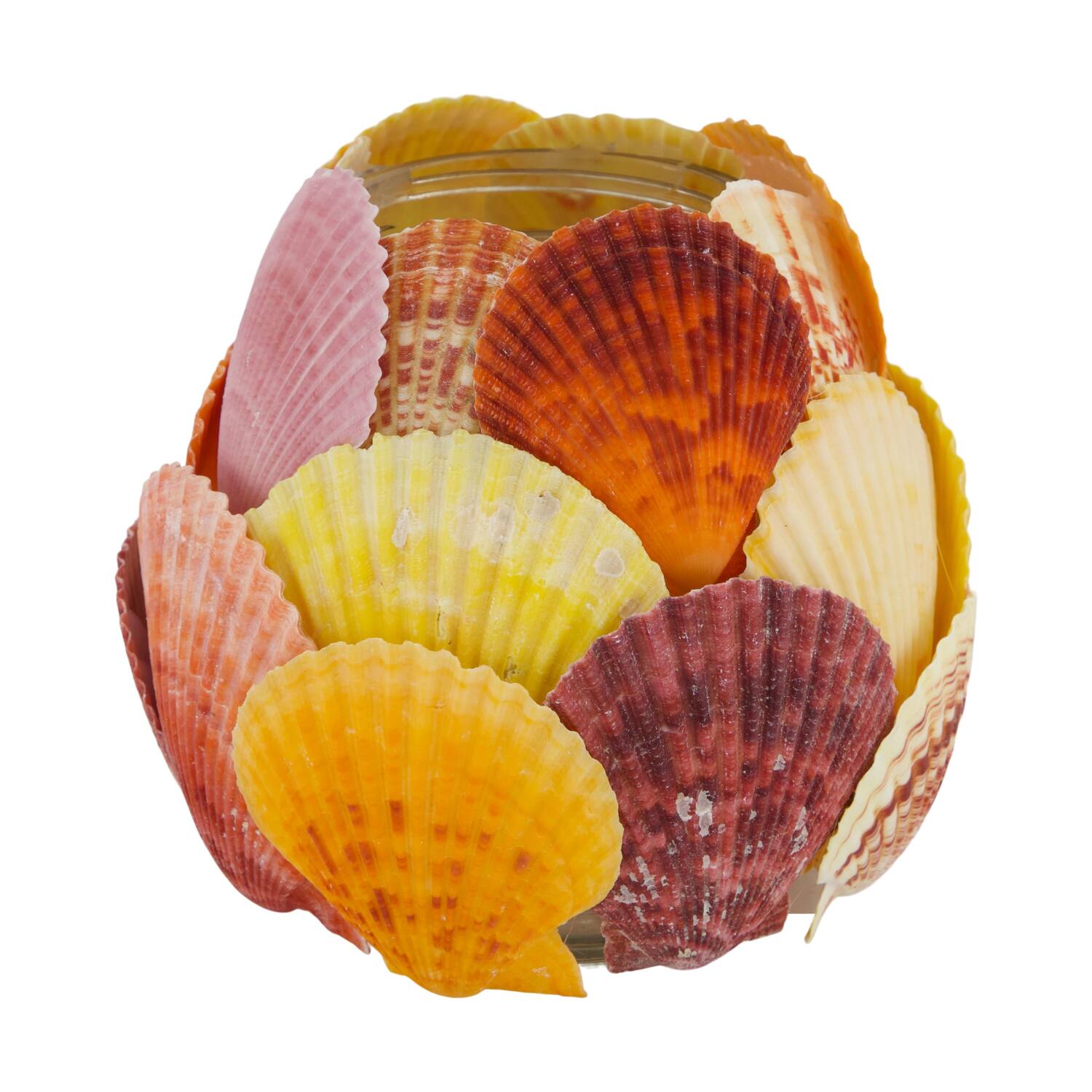 Tealight holder glass with shells 13x13x12.5cm