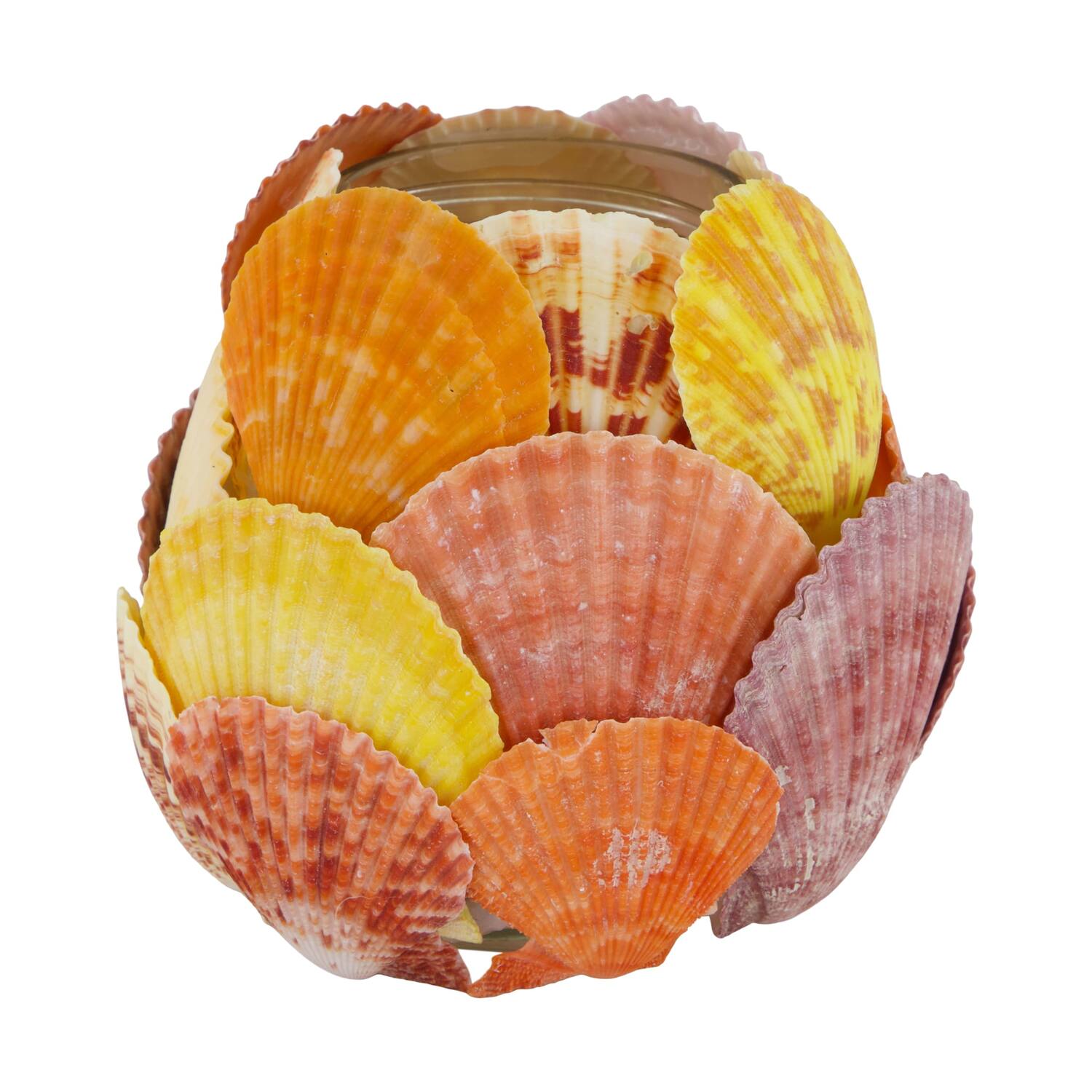 Tealight holder glass with shells 13x13x12.5cm