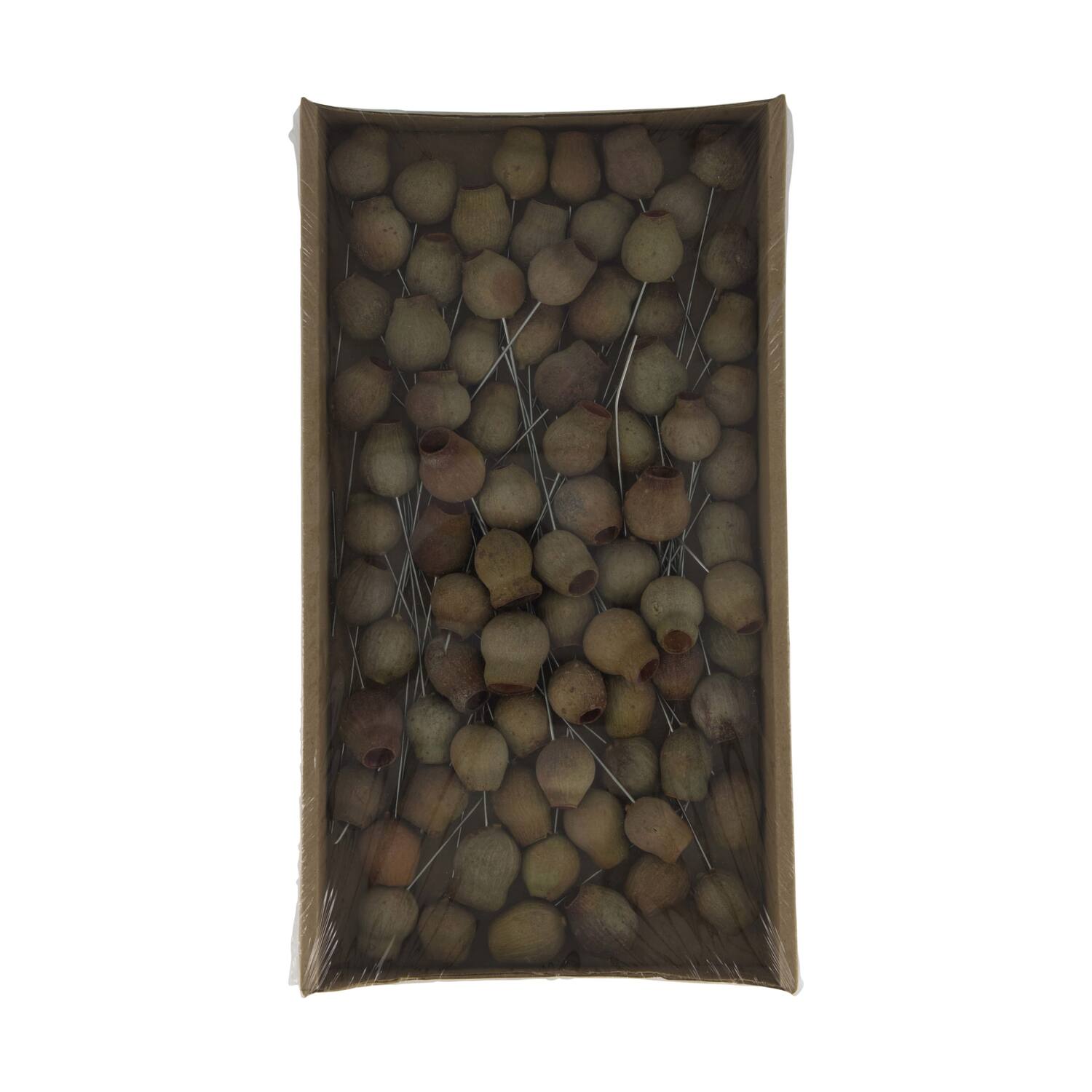 Bellgums on wire stem 80pc in tray 36x20x5cm - Natural
