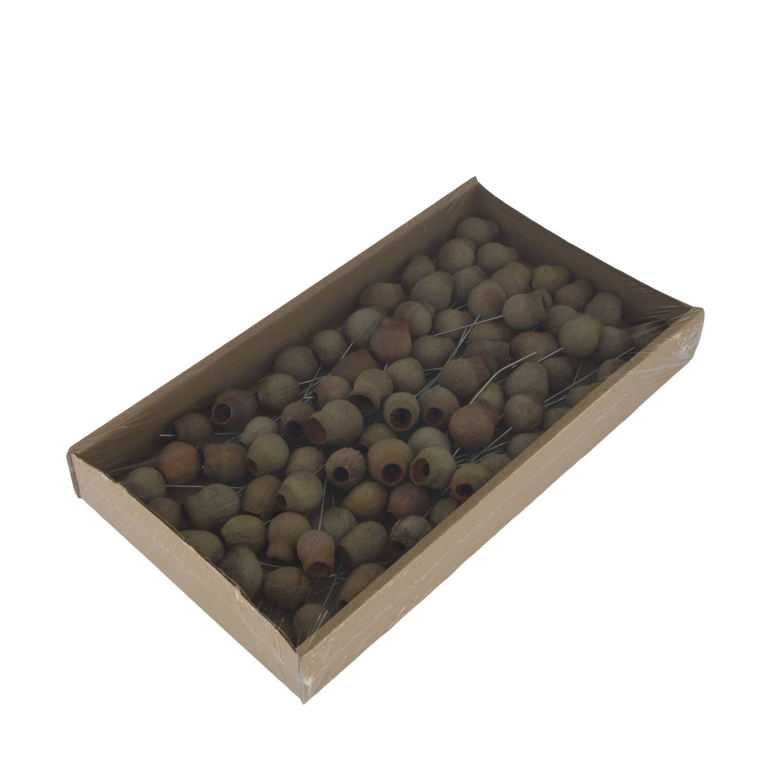 Bellgums on wire stem 80pc in tray 36x20x5cm - Natural
