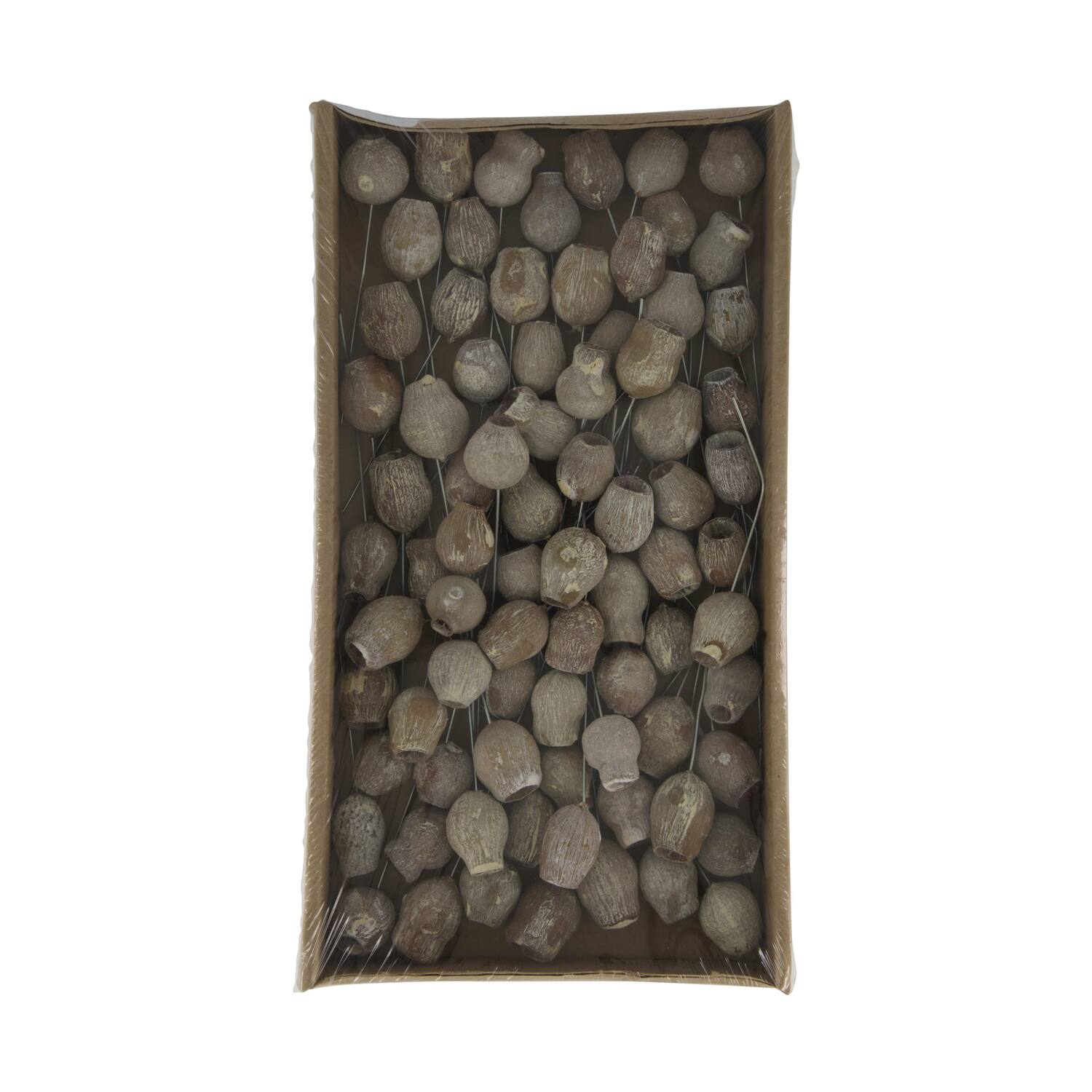 Bellgums on wire stem 80pc in tray 36x20x5cm