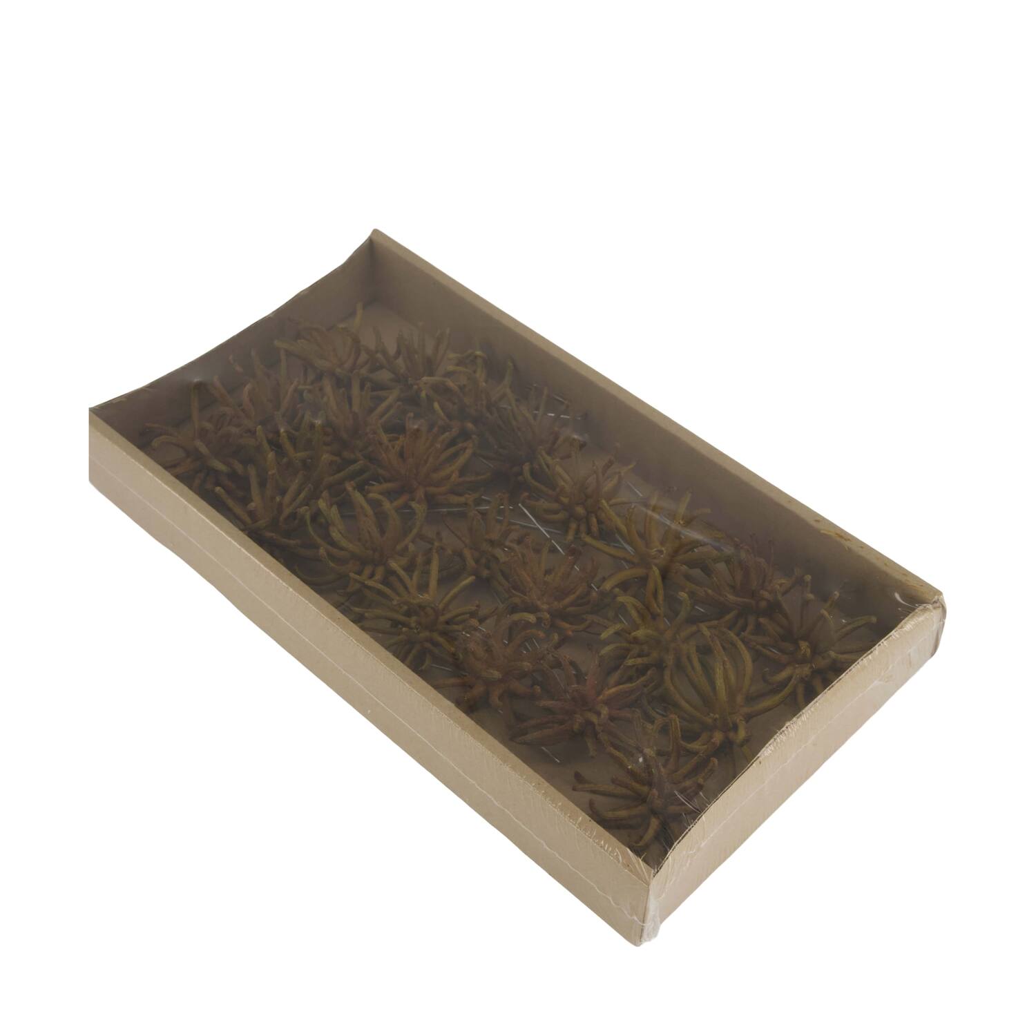 Spidergum claws on wire stem 20pc in tray 36x20x5cm - Natural