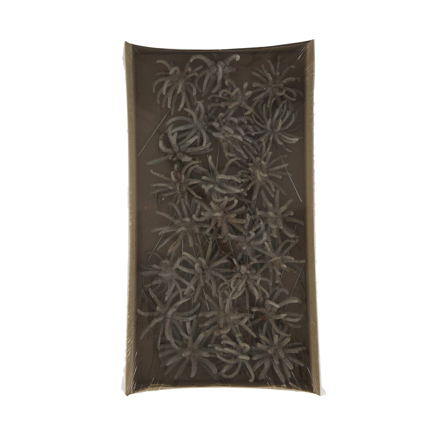 Spidergum claws on wire stem 20pc in tray 36x20x5cm