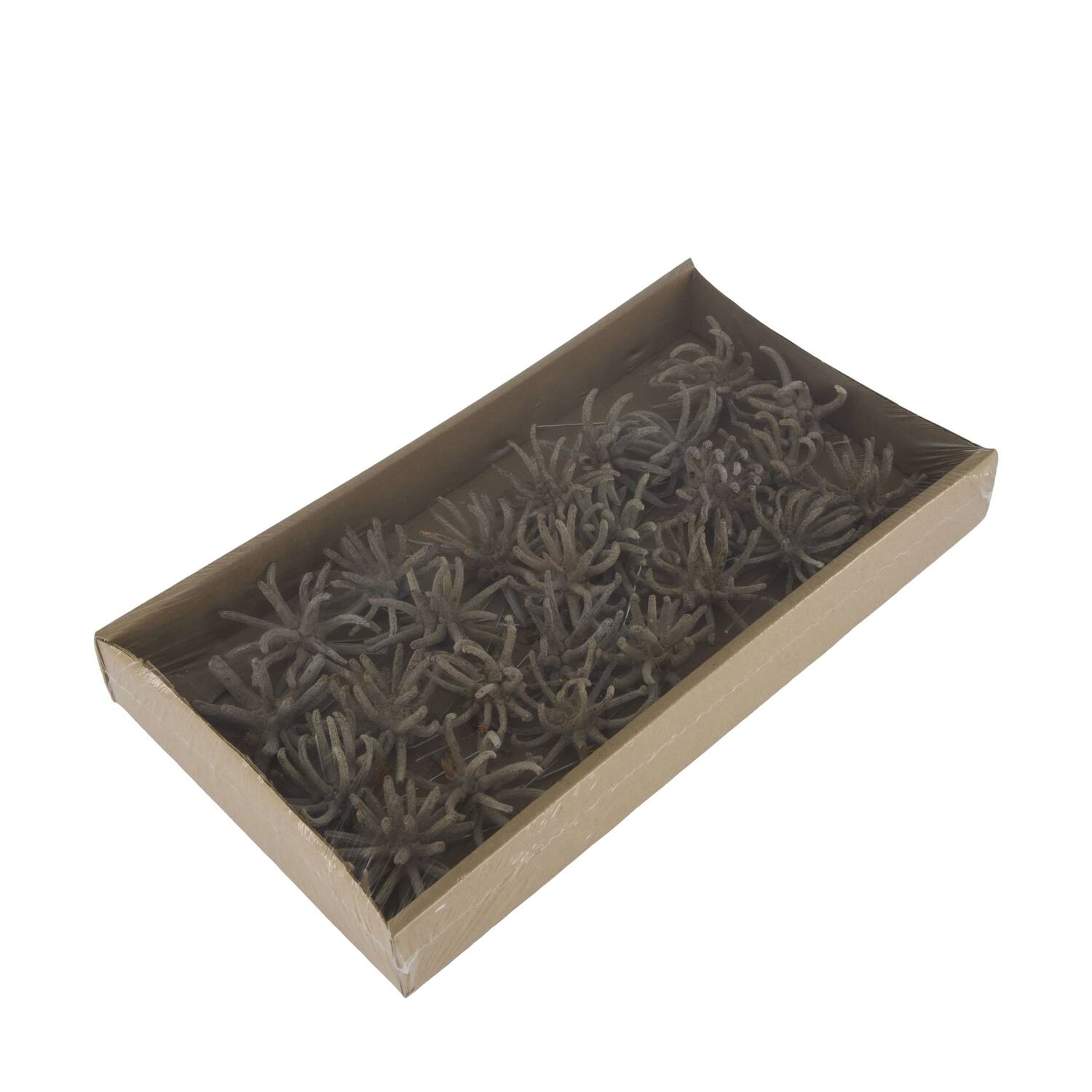 Spidergum claws on wire stem 20pc in tray 36x20x5cm
