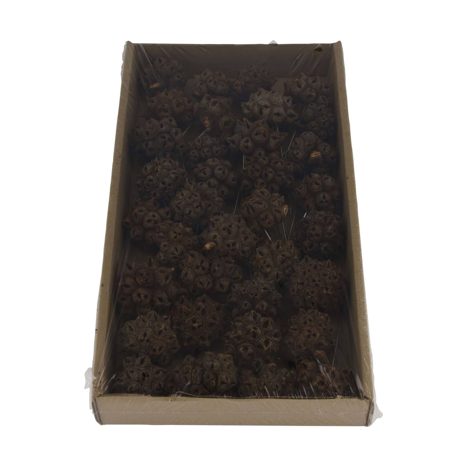 Spidergum knobs on wire stem 35pc in tray 36x20x5cm - Natural
