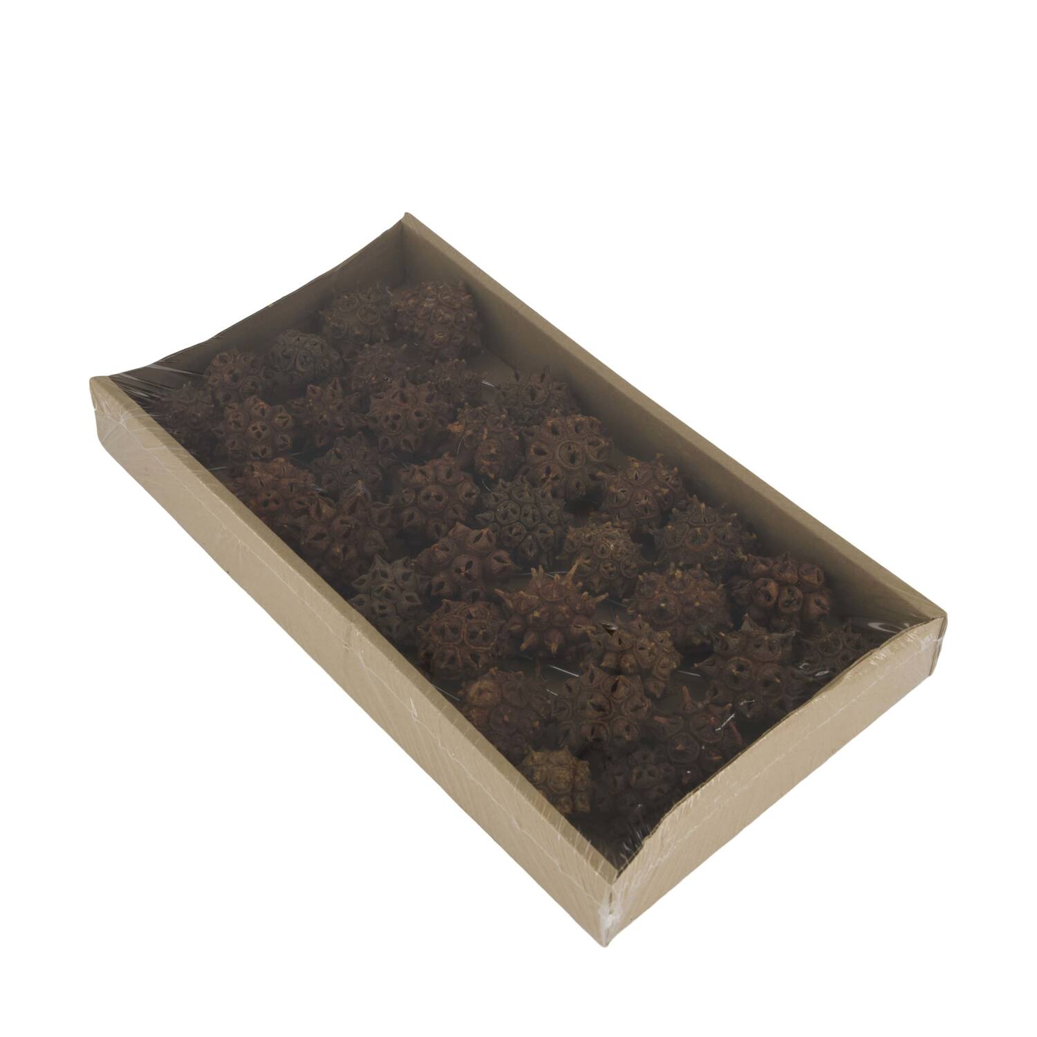 Spidergum knobs on wire stem 35pc in tray 36x20x5cm - Natural