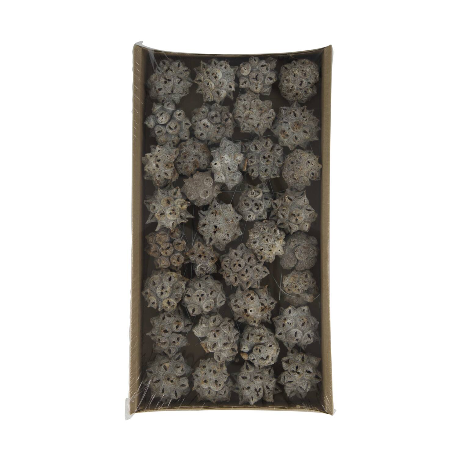 Spidergum knobs on wire stem 35pc in tray 36x20x5cm - White