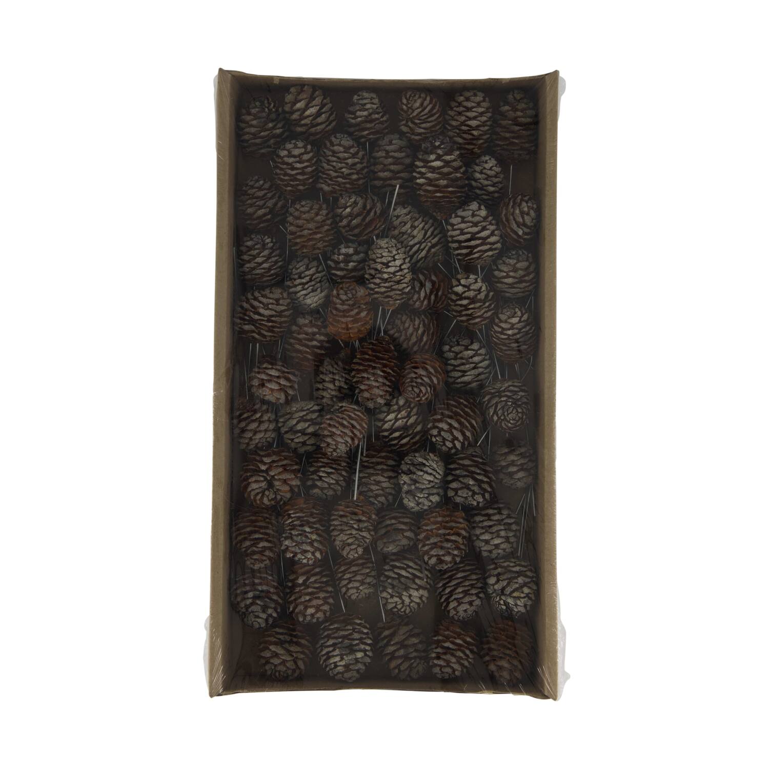Muirrii on wire stem 60pc in tray 36x20x5cm - Natural