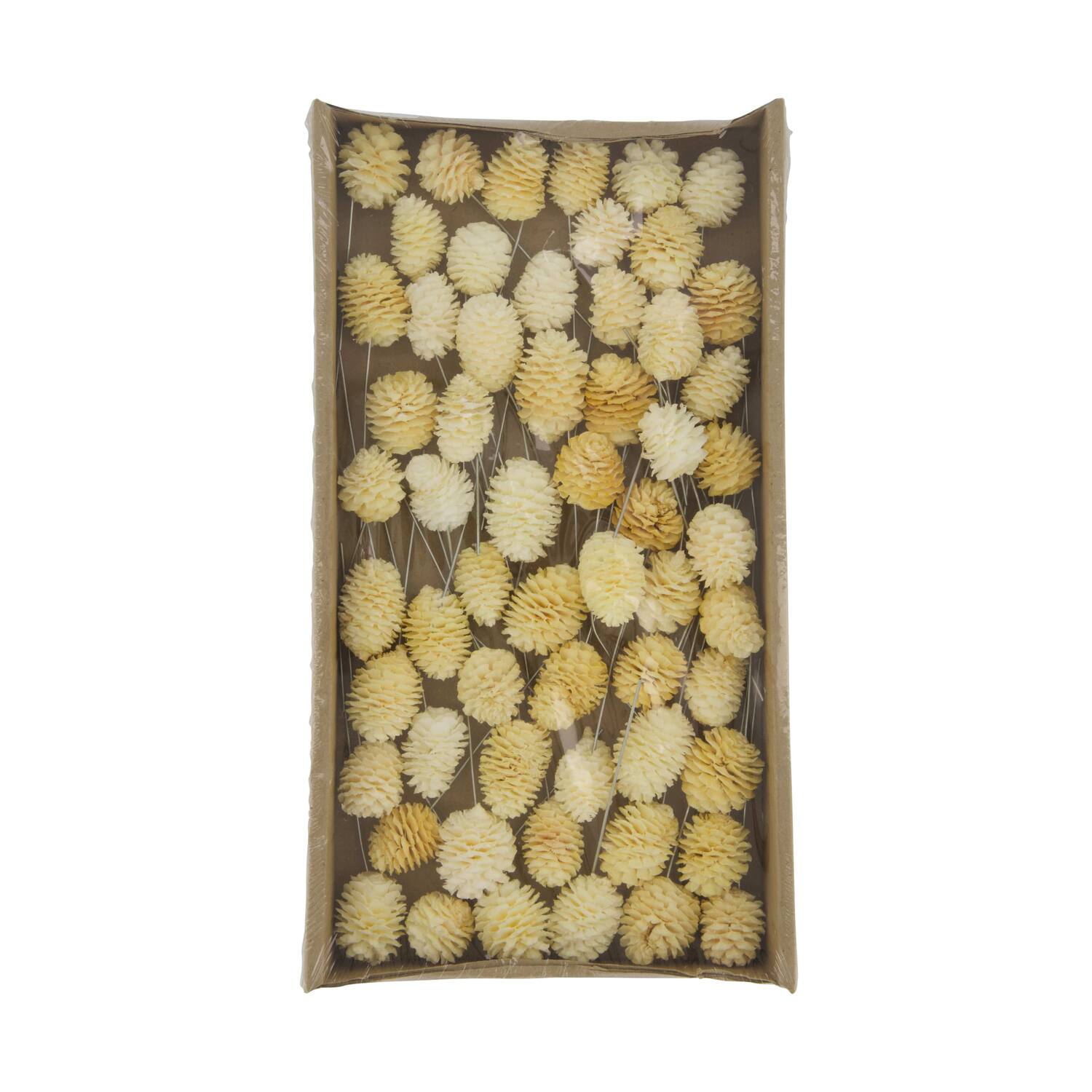 Muirrii on wire stem 60pc in tray 36x20x5cm